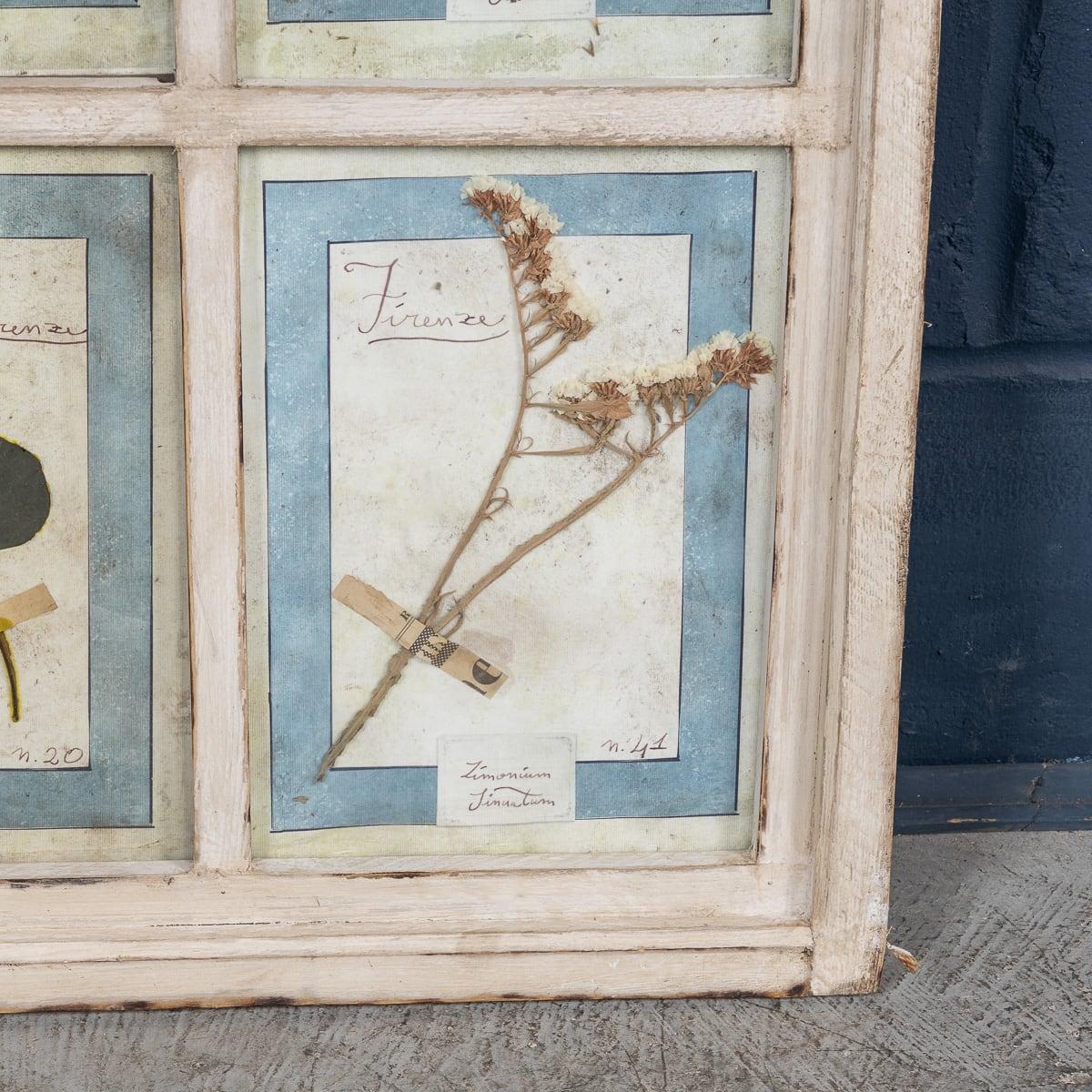 Grand cadre italien du 20ème siècle contenant des fleurs et des herbes pressées en vente 6