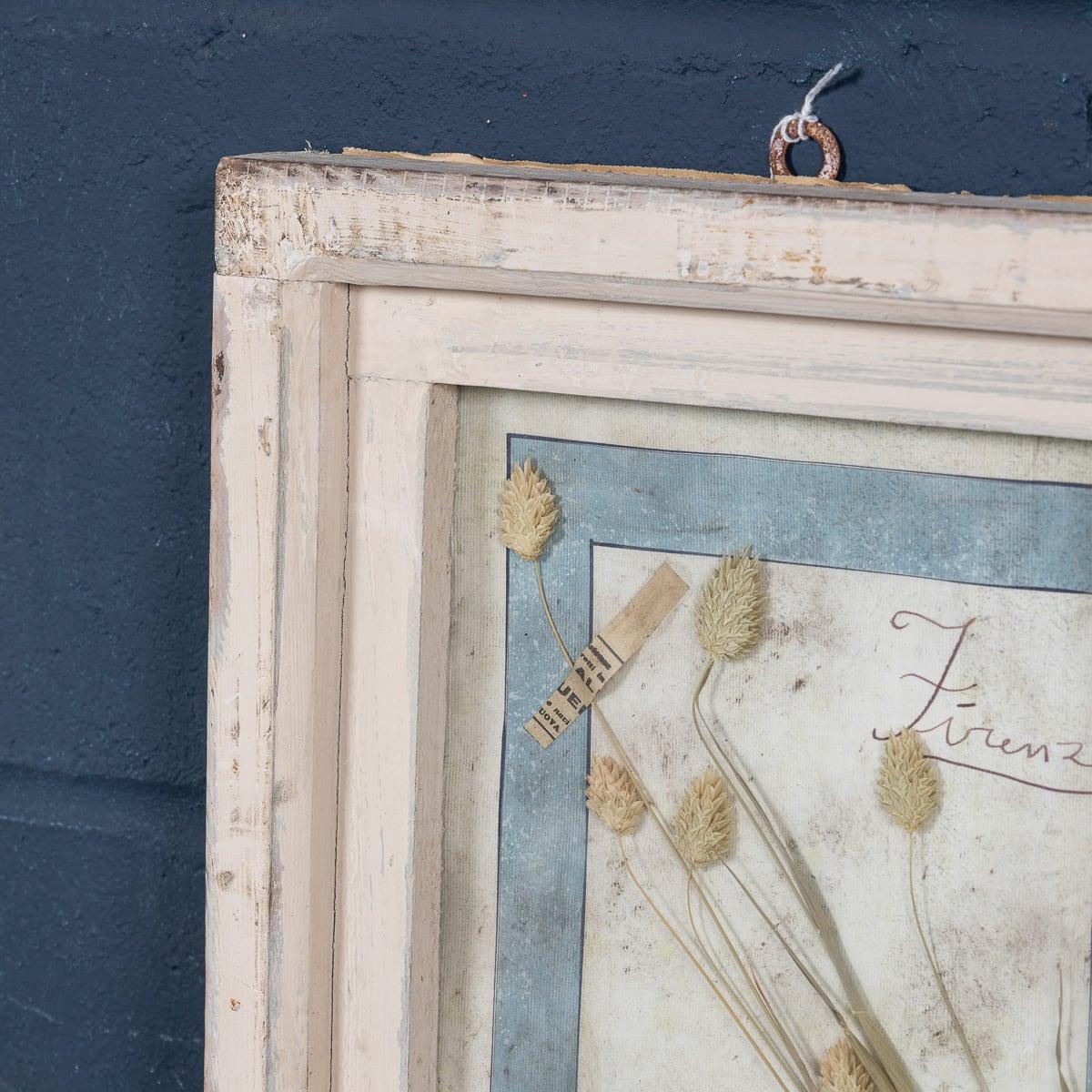 20th Century Italian Large Oak Frame Containing Pressed Flowers & Herbs For Sale 10