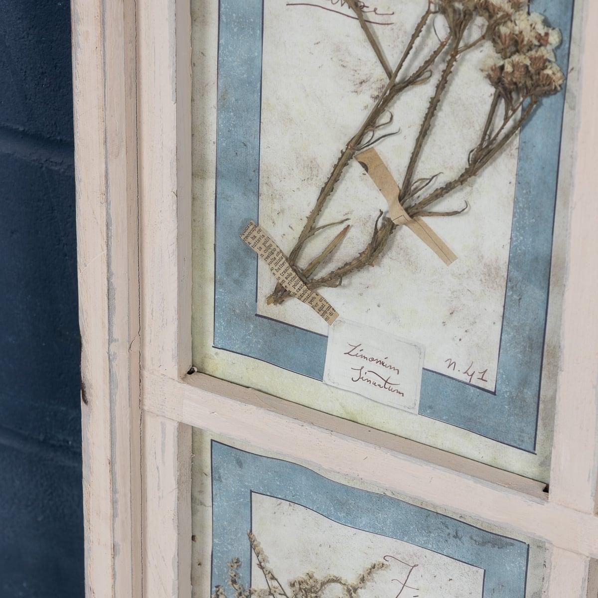 20th Century Italian Large Oak Frame Containing Pressed Flowers & Herbs For Sale 11