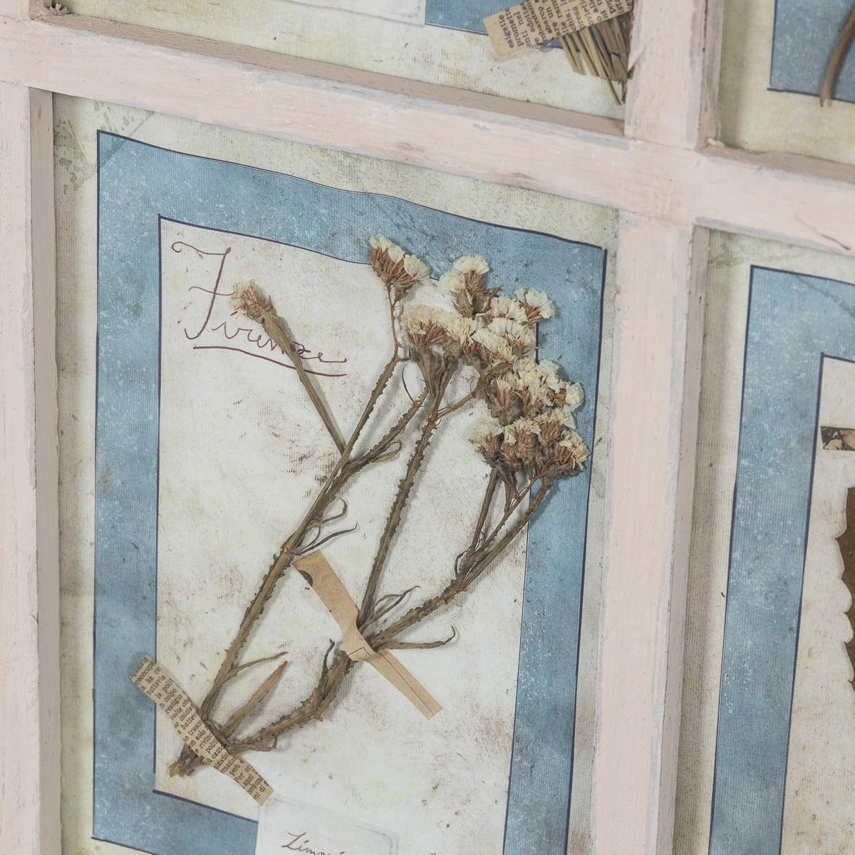 20th Century Italian Large Oak Frame Containing Pressed Flowers & Herbs For Sale 12
