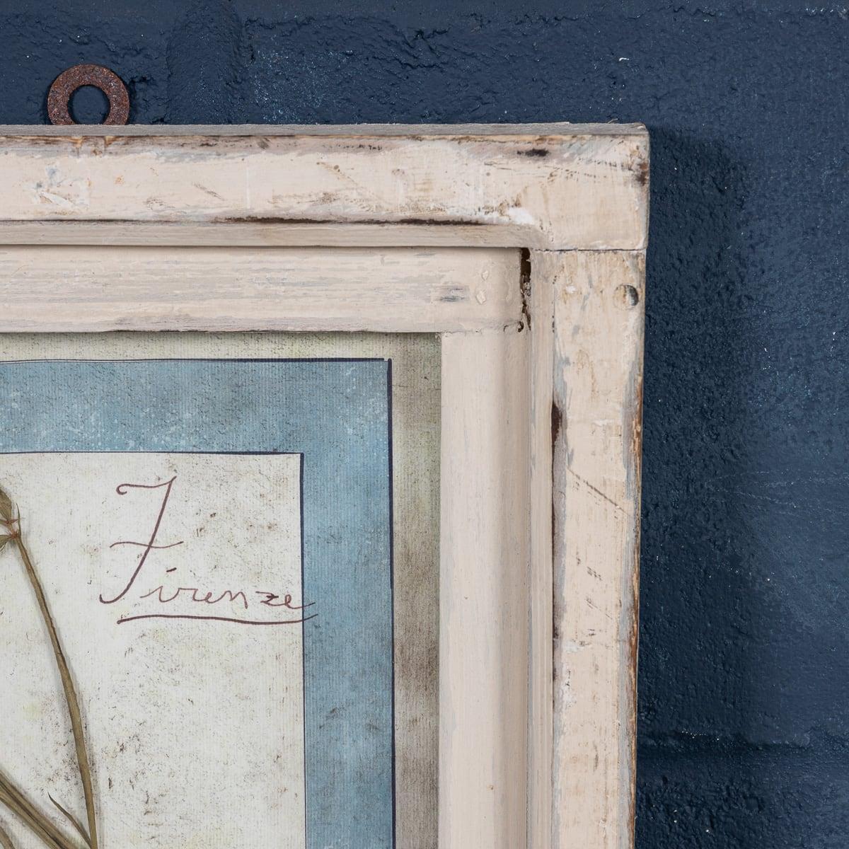 20th Century Italian Large Oak Frame Containing Pressed Flowers & Herbs For Sale 14