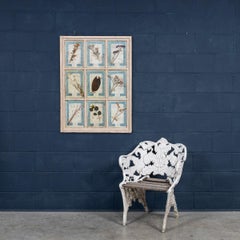 20th Century Italian Large Oak Frame Containing Pressed Flowers & Herbs