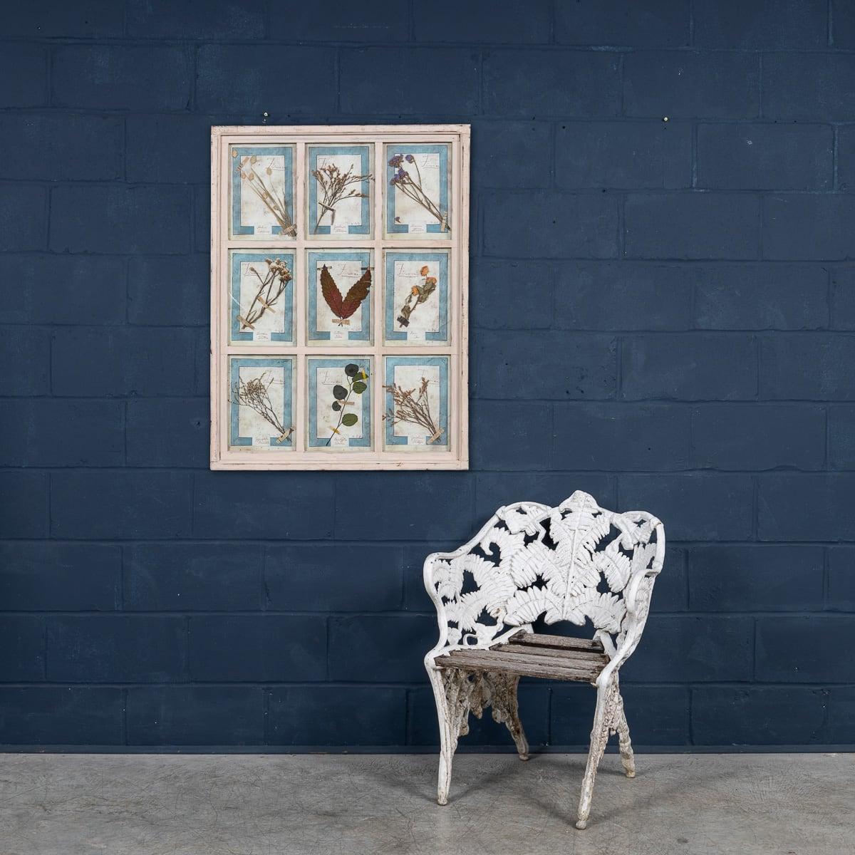 A stunning late 20th Century collection of antique pressed flowers and herbs, each preserved and labeled with handwritten botanical names. These remarkable pieces are framed behind glass in elegant aged oak frames, adding a timeless charm to their