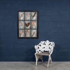 20th Century Italian Large Oak Frame Containing Pressed Flowers & Herbs
