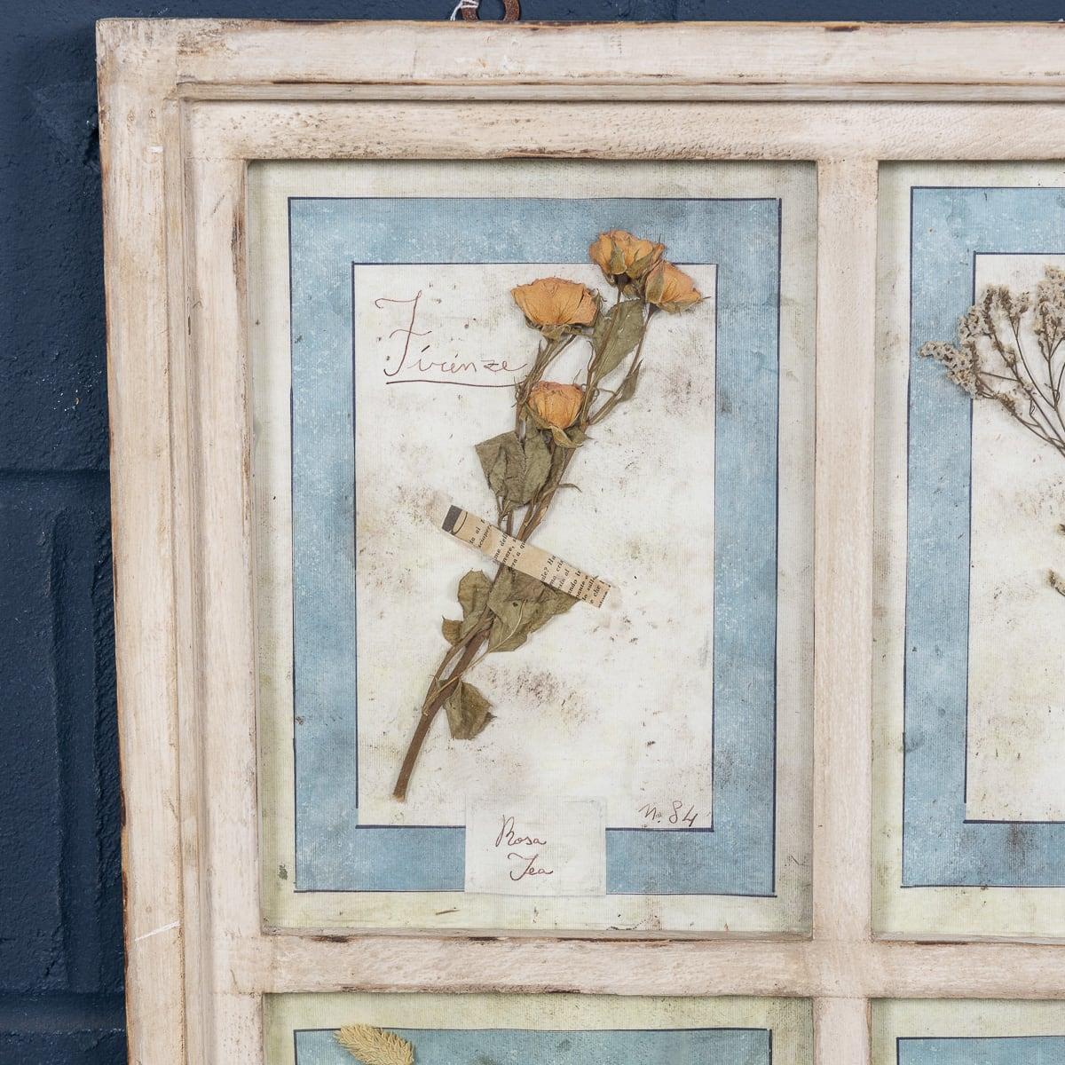 Grand cadre italien du 20ème siècle contenant des fleurs et des herbes pressées Bon état - En vente à Royal Tunbridge Wells, Kent