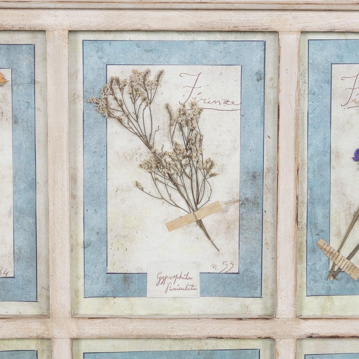 20ième siècle Grand cadre italien du 20ème siècle contenant des fleurs et des herbes pressées en vente