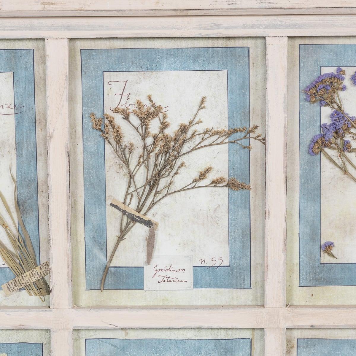 20th Century Italian Large Oak Frame Containing Pressed Flowers & Herbs For Sale 1