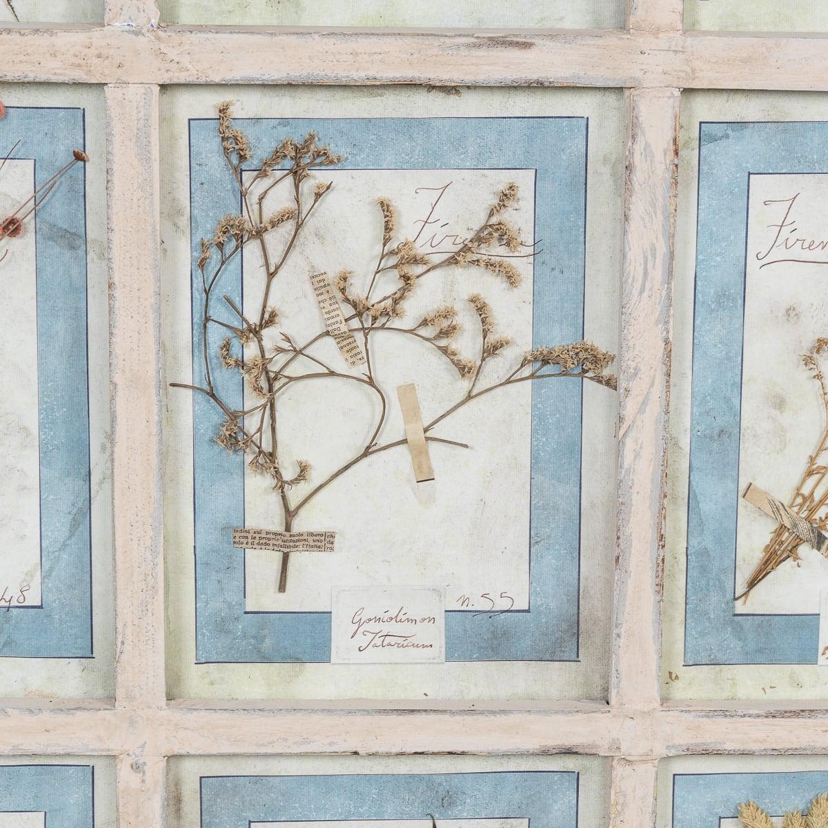 Gran marco italiano de roble del siglo XX con flores y hierbas prensadas en venta 1