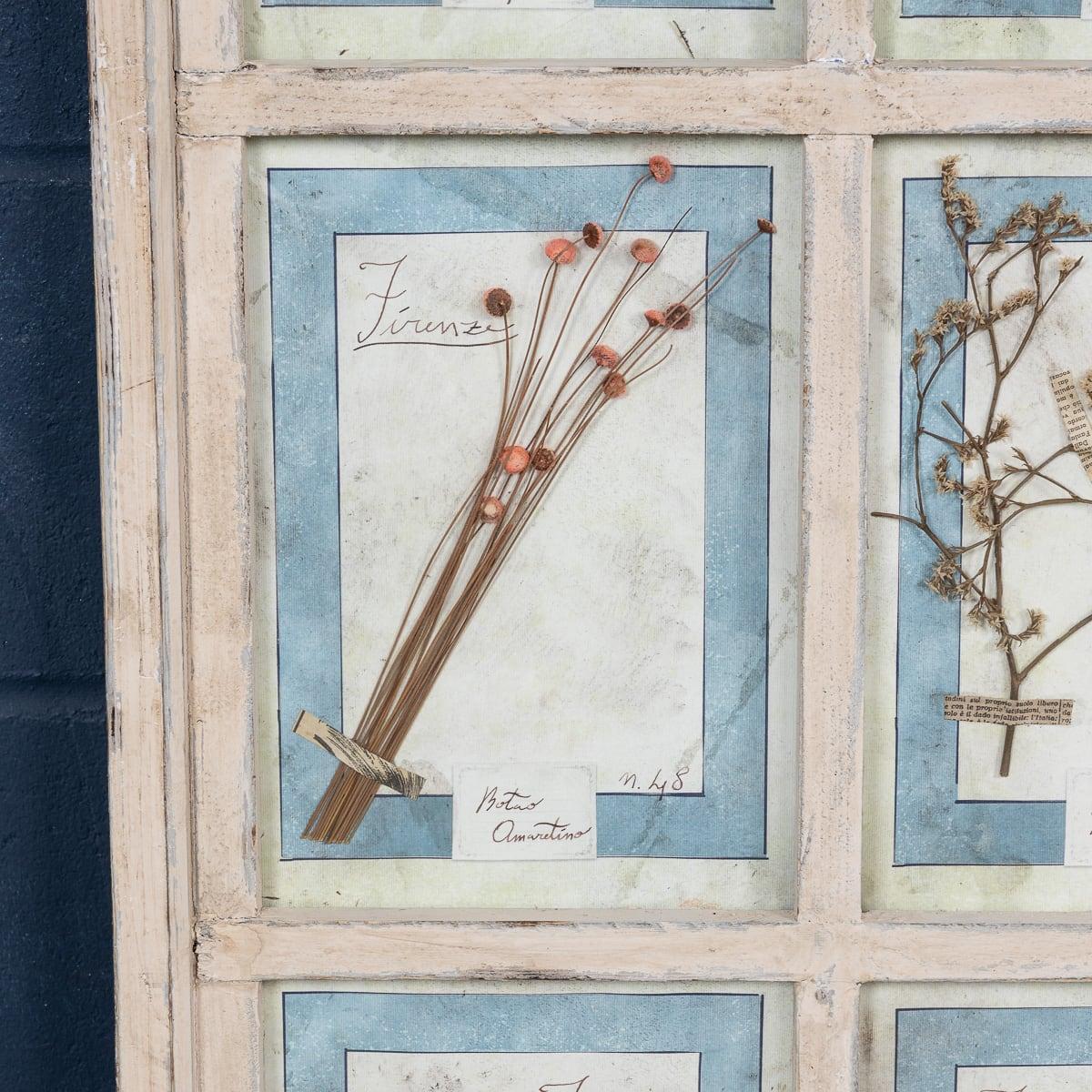 Gran marco italiano de roble del siglo XX con flores y hierbas prensadas en venta 2