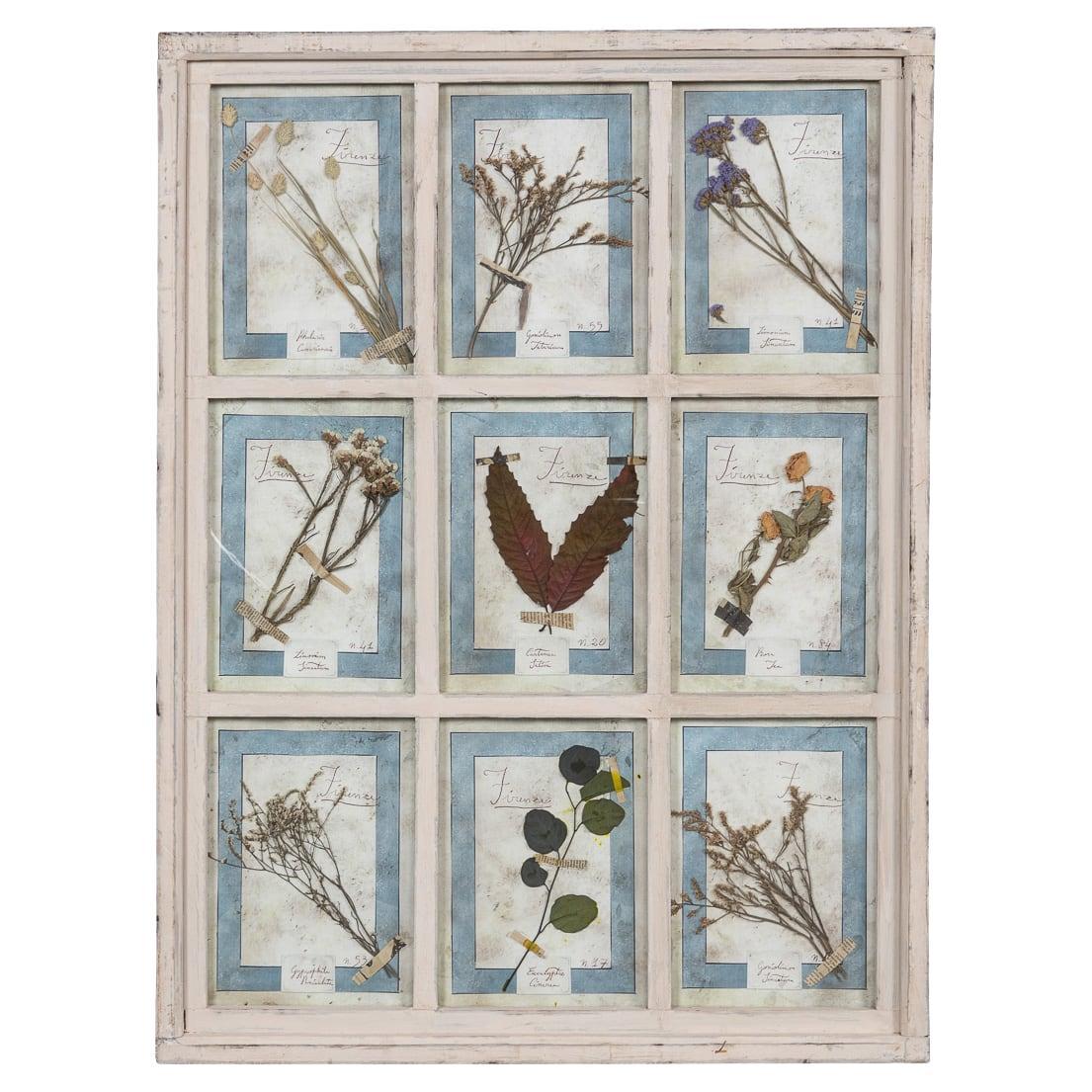 20th Century Italian Large Oak Frame Containing Pressed Flowers & Herbs