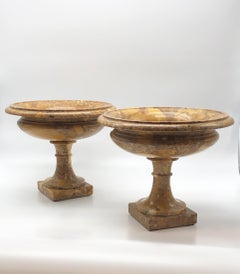 20th Century Italian Marble Breccia Yellow Sculpture Pair of Vases Neoclassica