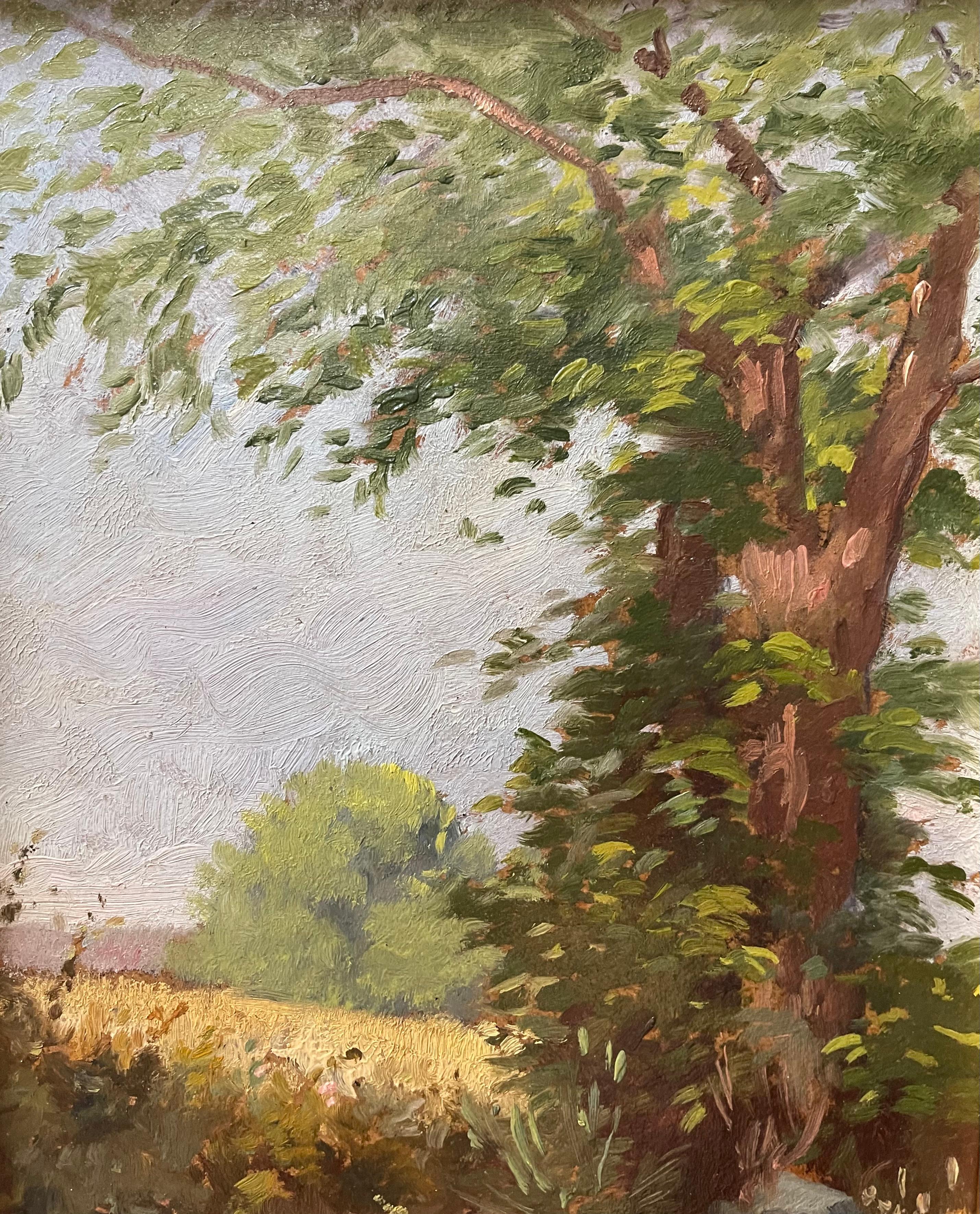 Paisaje italiano del siglo XX firmado en Bueno estado para la venta en Roma, IT