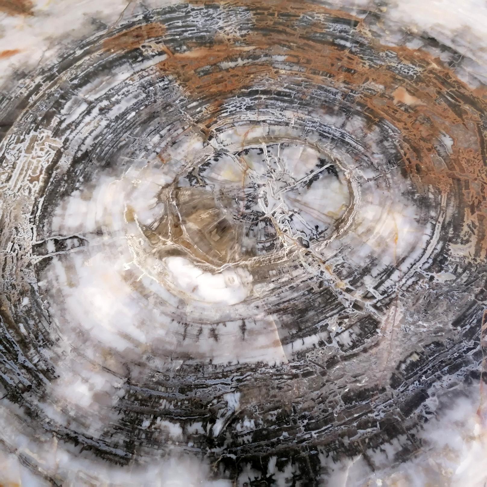 Italienischer Silbertisch des 20. Jahrhunderts. Oberseite ist in braunem Slab  Amerikanisches Sequoia aus Fossil im Angebot 10