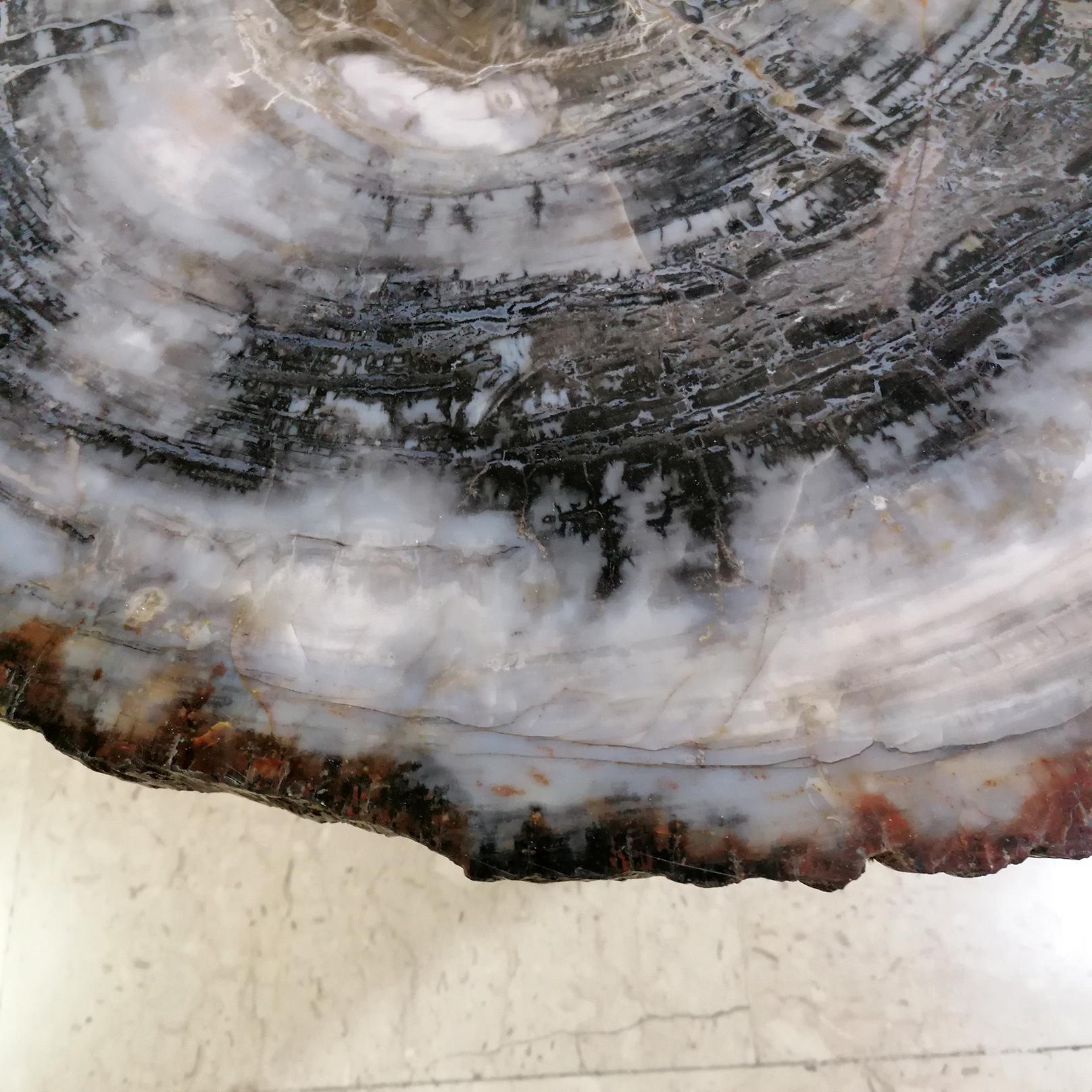 Italienischer Silbertisch des 20. Jahrhunderts. Oberseite ist in braunem Slab  Amerikanisches Sequoia aus Fossil im Angebot 11