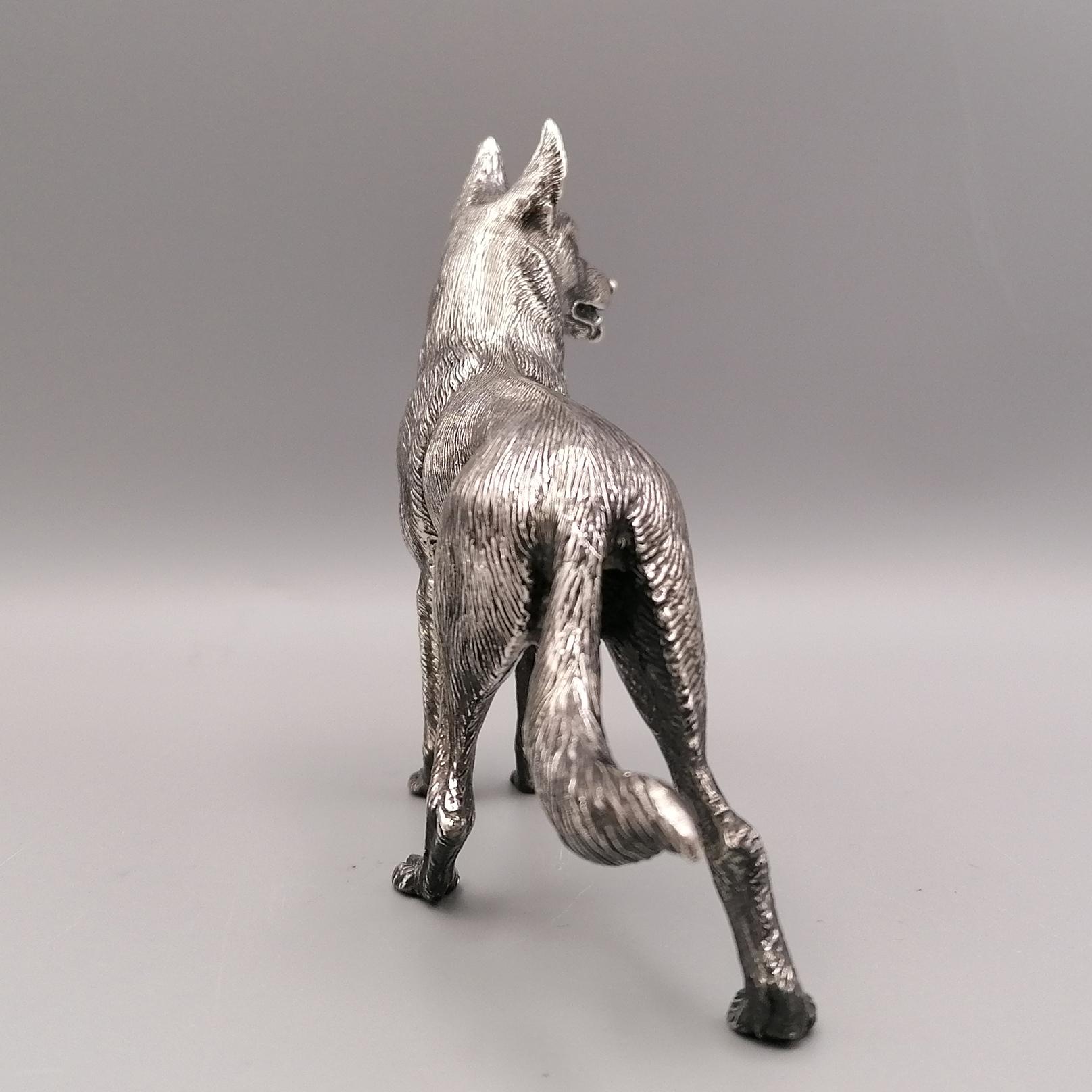 silver shepherd dog