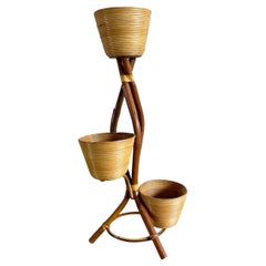 20th Century Italian Vintage Rattan Plant Stand in the style of Gio Ponti