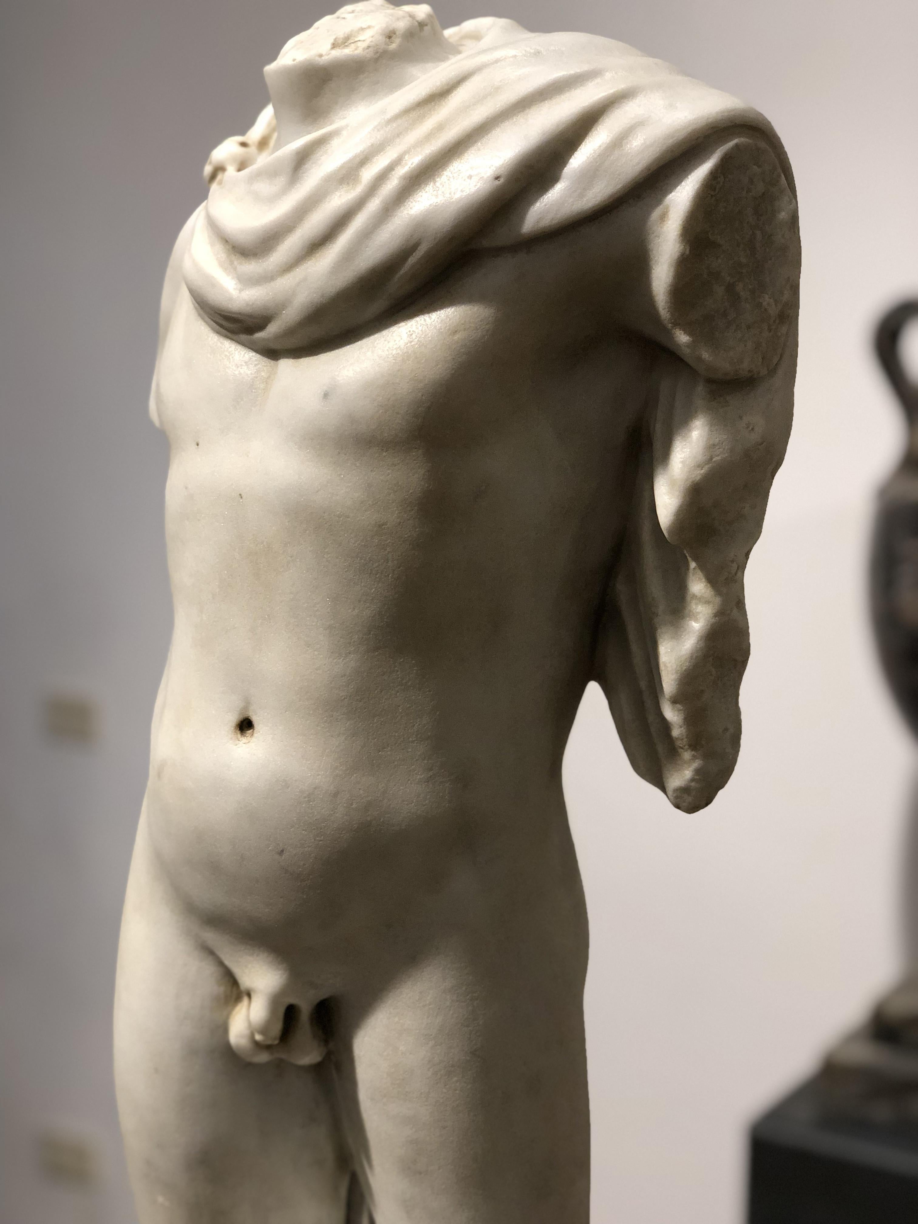 20th Century Italian Marble Sculpture Torso Apollo Belvedere Vatican Museum For Sale 3