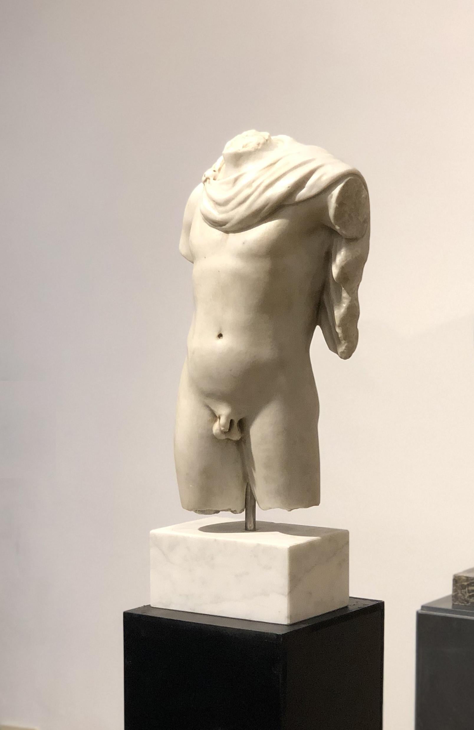 20th Century Italian Marble Sculpture Torso Apollo Belvedere Vatican Museum im Angebot 3