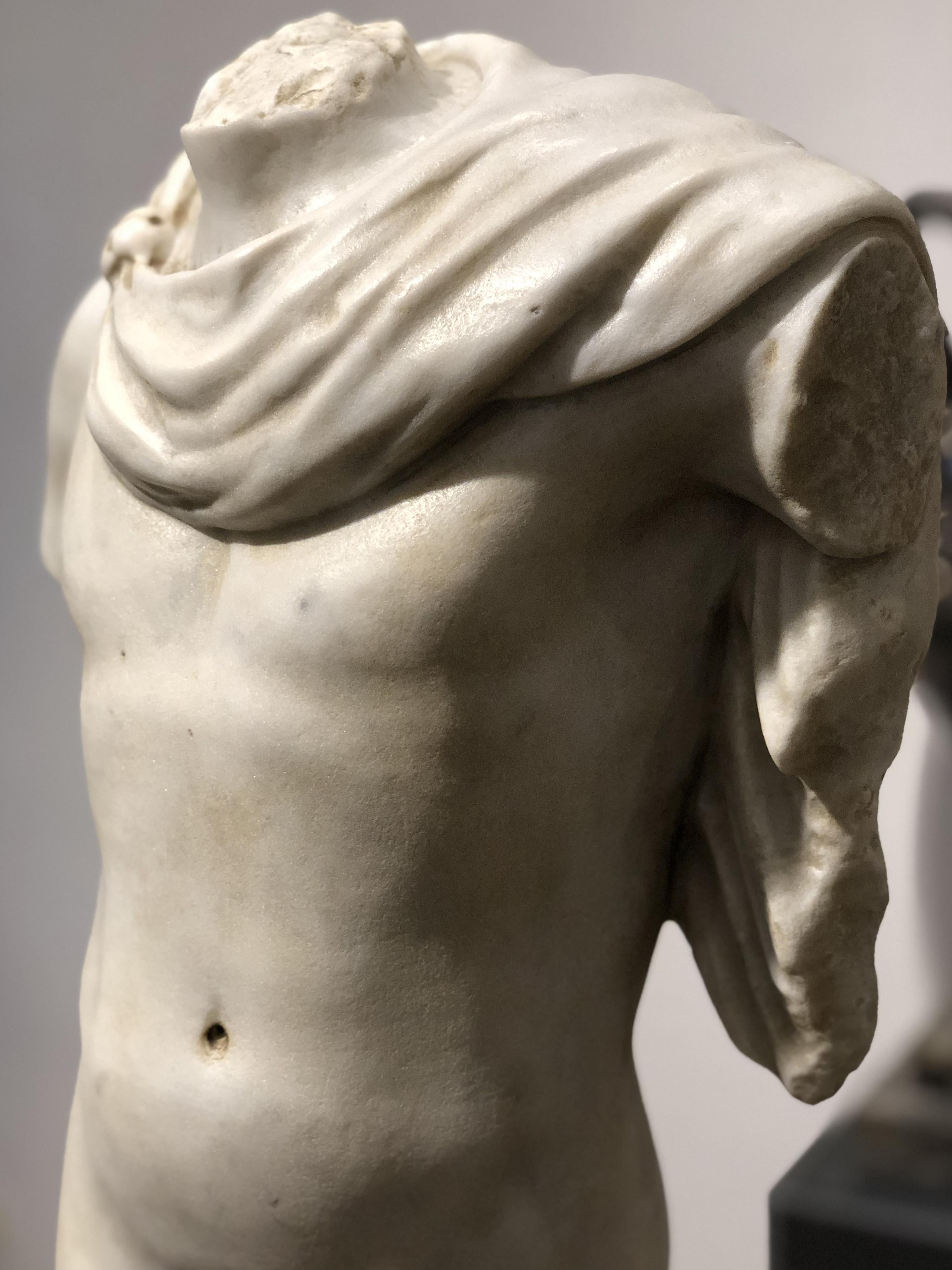 20th Century Italian Marble Sculpture Torso Apollo Belvedere Vatican Museum im Angebot 8