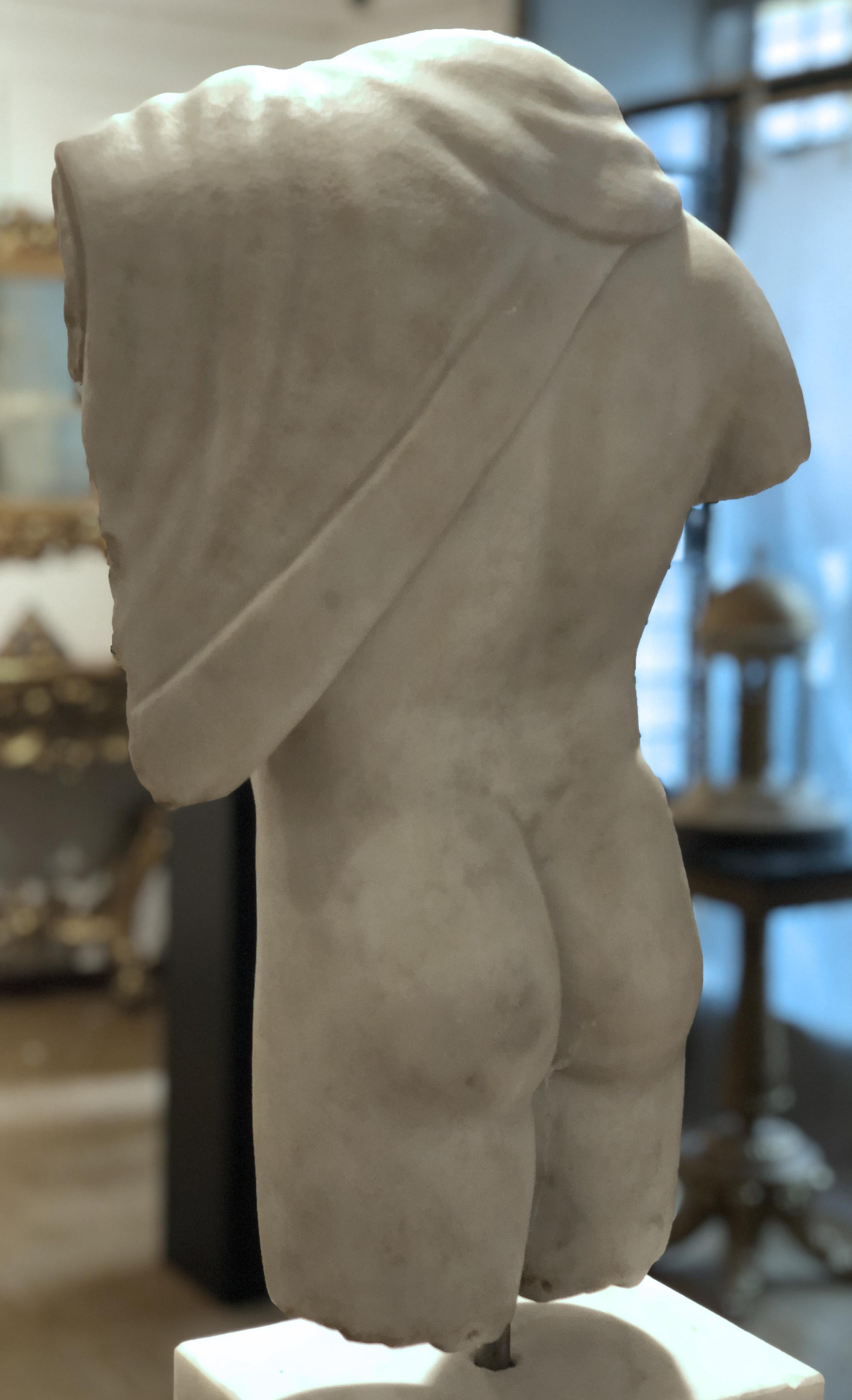 20th Century Italian Marble Sculpture Torso Apollo Belvedere Vatican Museum im Angebot 10