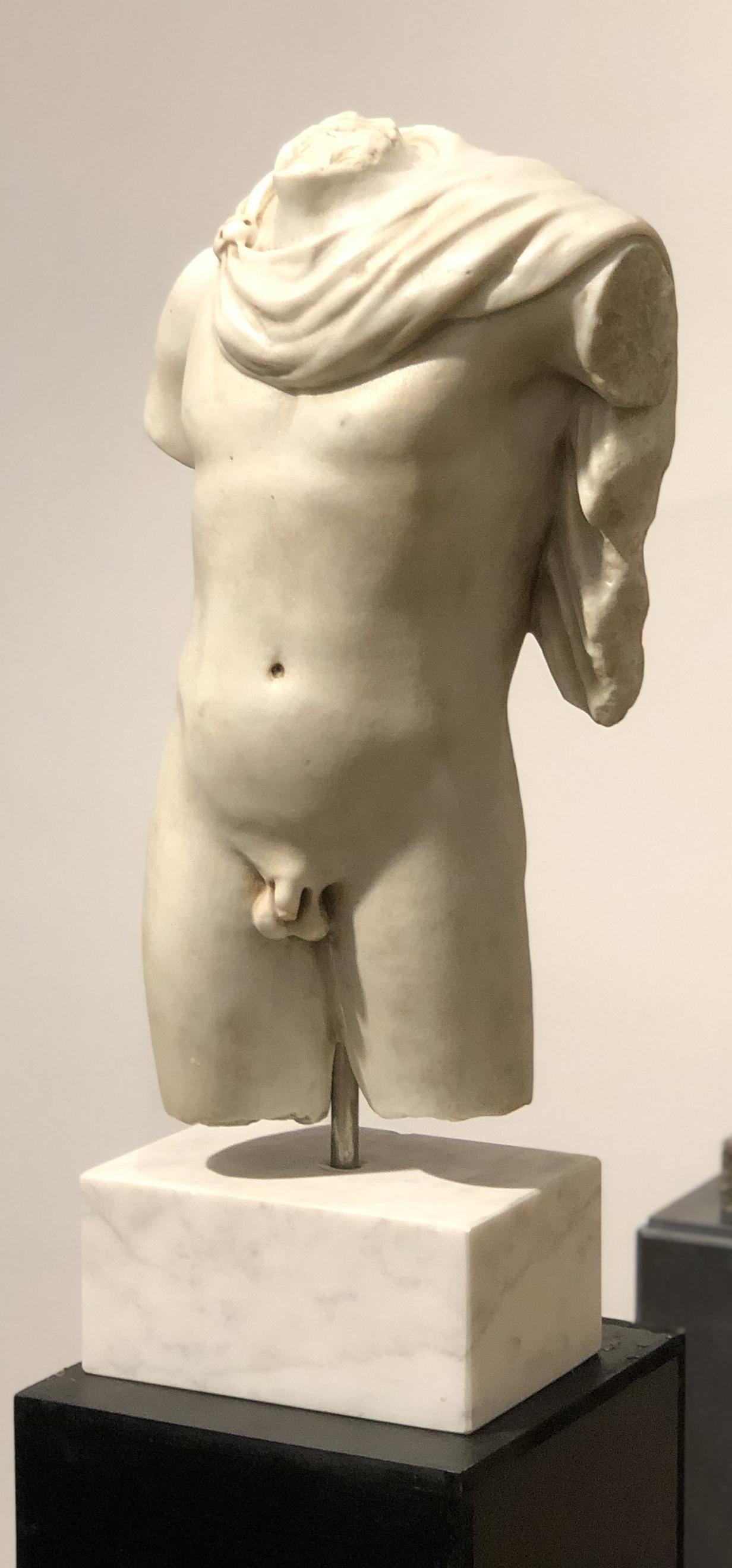 20th Century Italian Marble Sculpture Torso Apollo Belvedere Vatican Museum For Sale 12