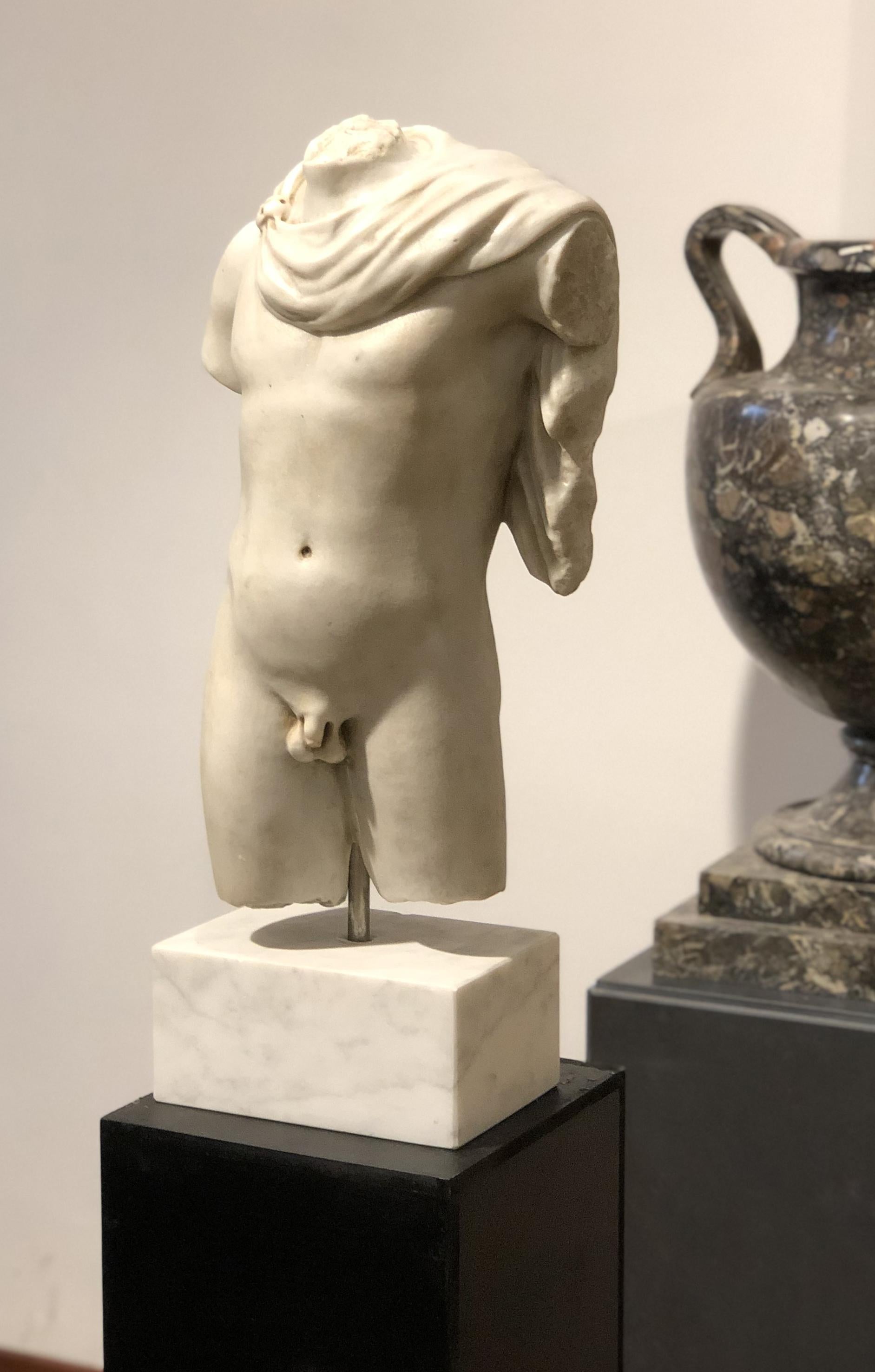 20th Century Italian Marble Sculpture Torso Apollo Belvedere Vatican Museum For Sale 1