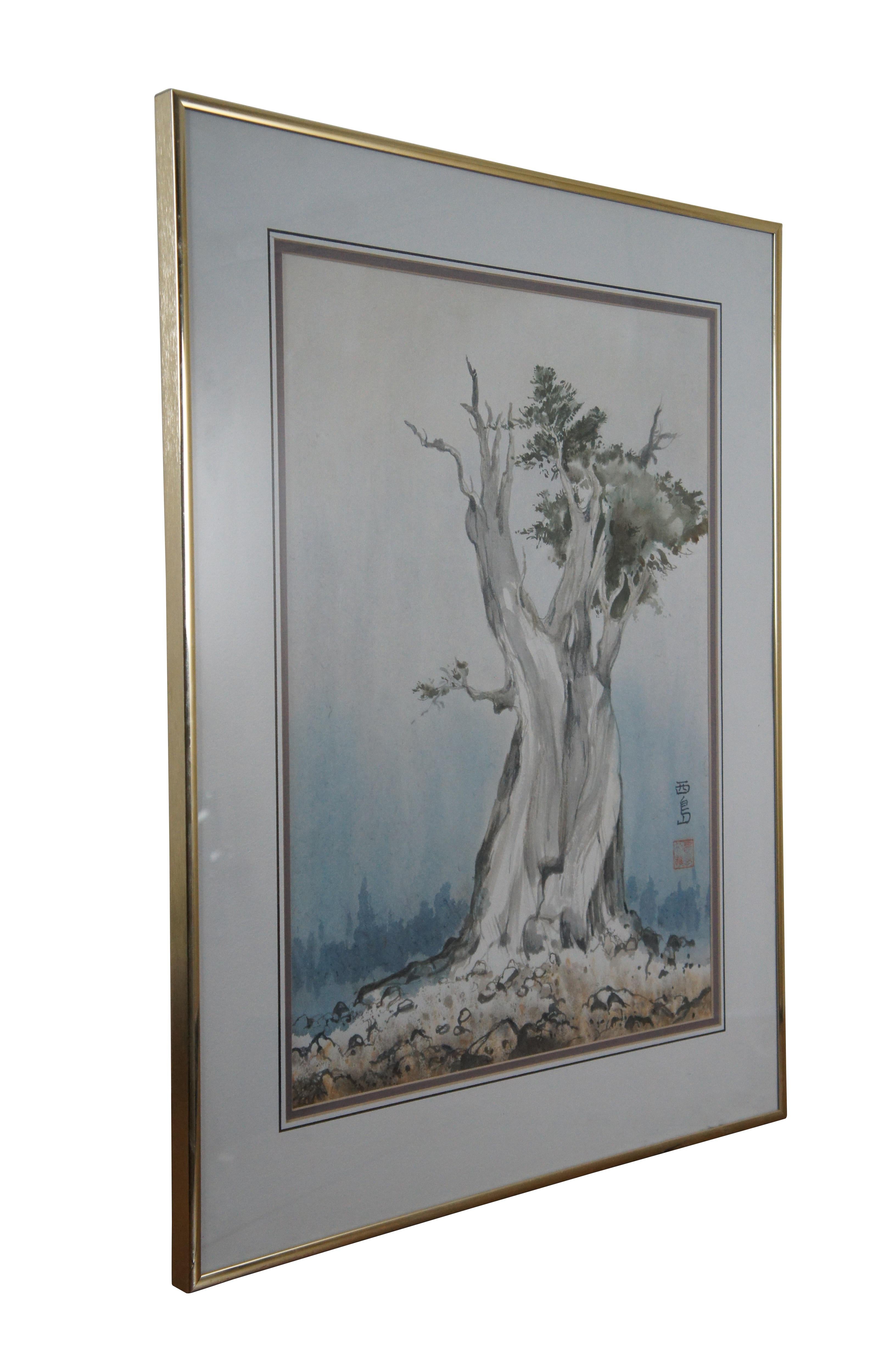 Japonisme 20th Century Japanese Gnarled Pine Watercolor Painting Signed & Framed 27