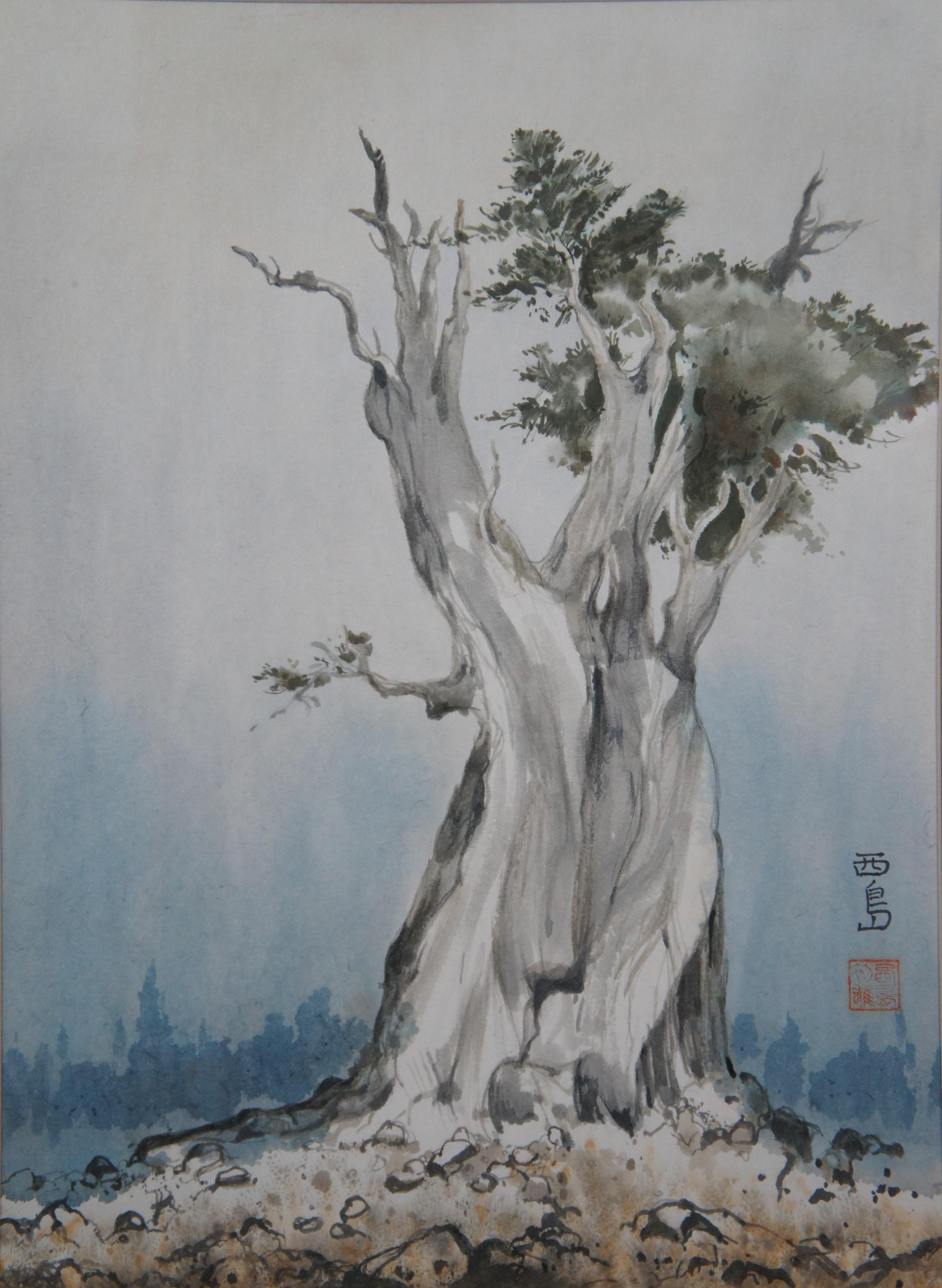 20th Century Japanese Gnarled Pine Watercolor Painting Signed & Framed 27