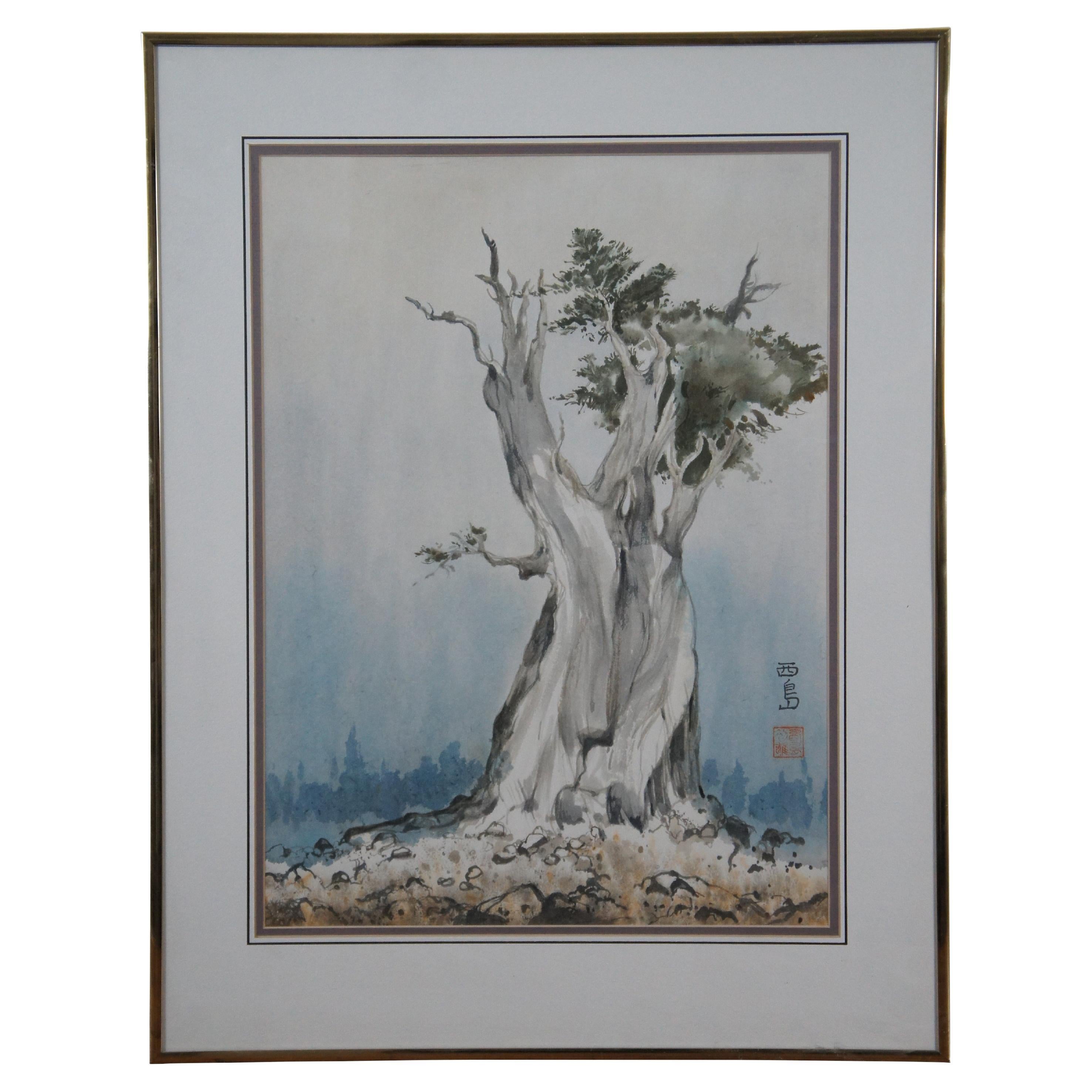 20th Century Japanese Gnarled Pine Watercolor Painting Signed & Framed 27" For Sale