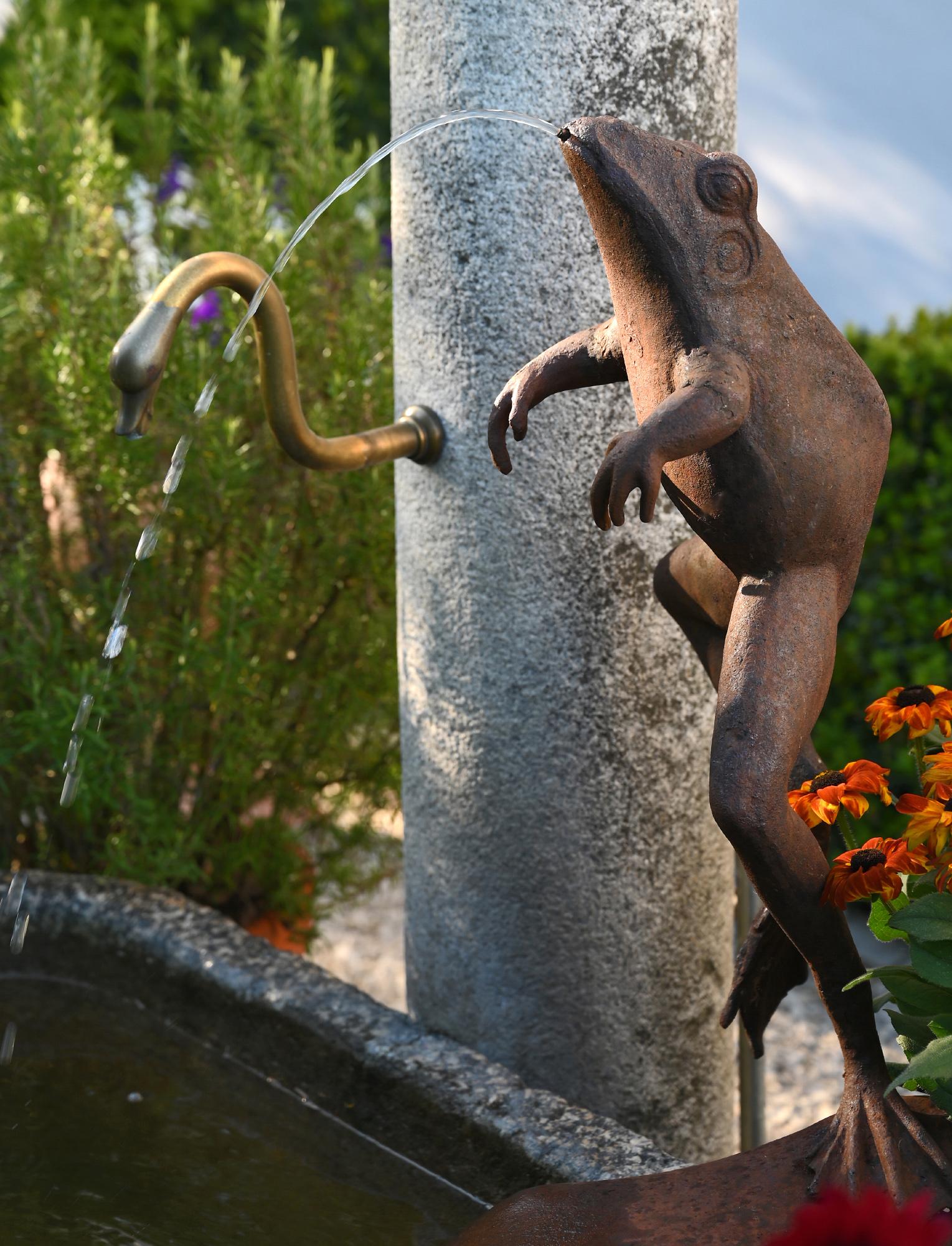 Charming jumping iron frog as a water spout.
Particularly unusual and stable waterspout, England, circa 1920-1930
The frog can be used as a fountain spout for a pool or as a decorative garden and terrace object.
 