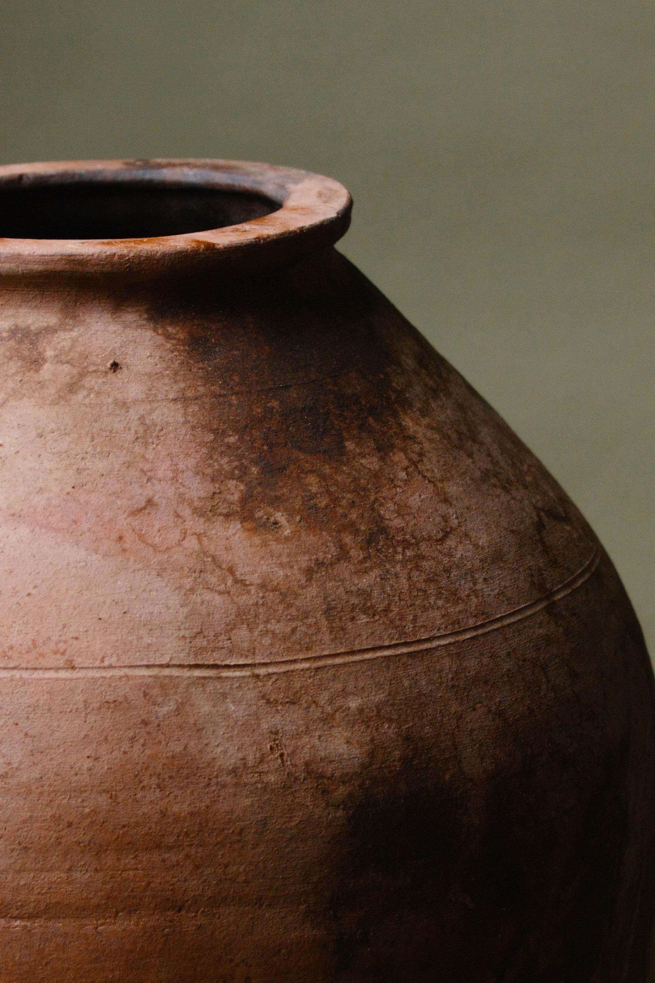 Gran tinaja de terracota de Anatolia del siglo XX 3