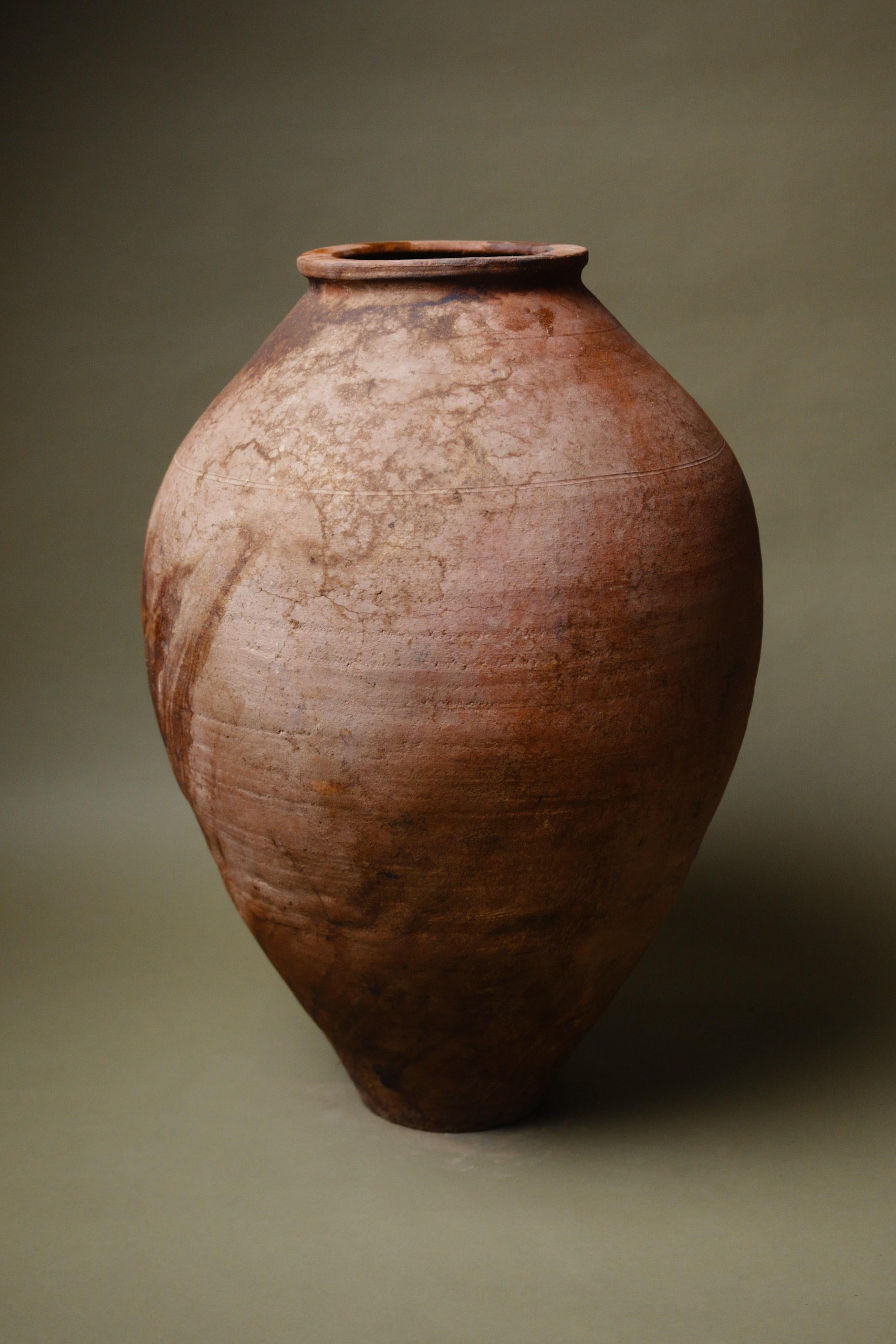 Gran tinaja de terracota de Anatolia del siglo XX Rústico