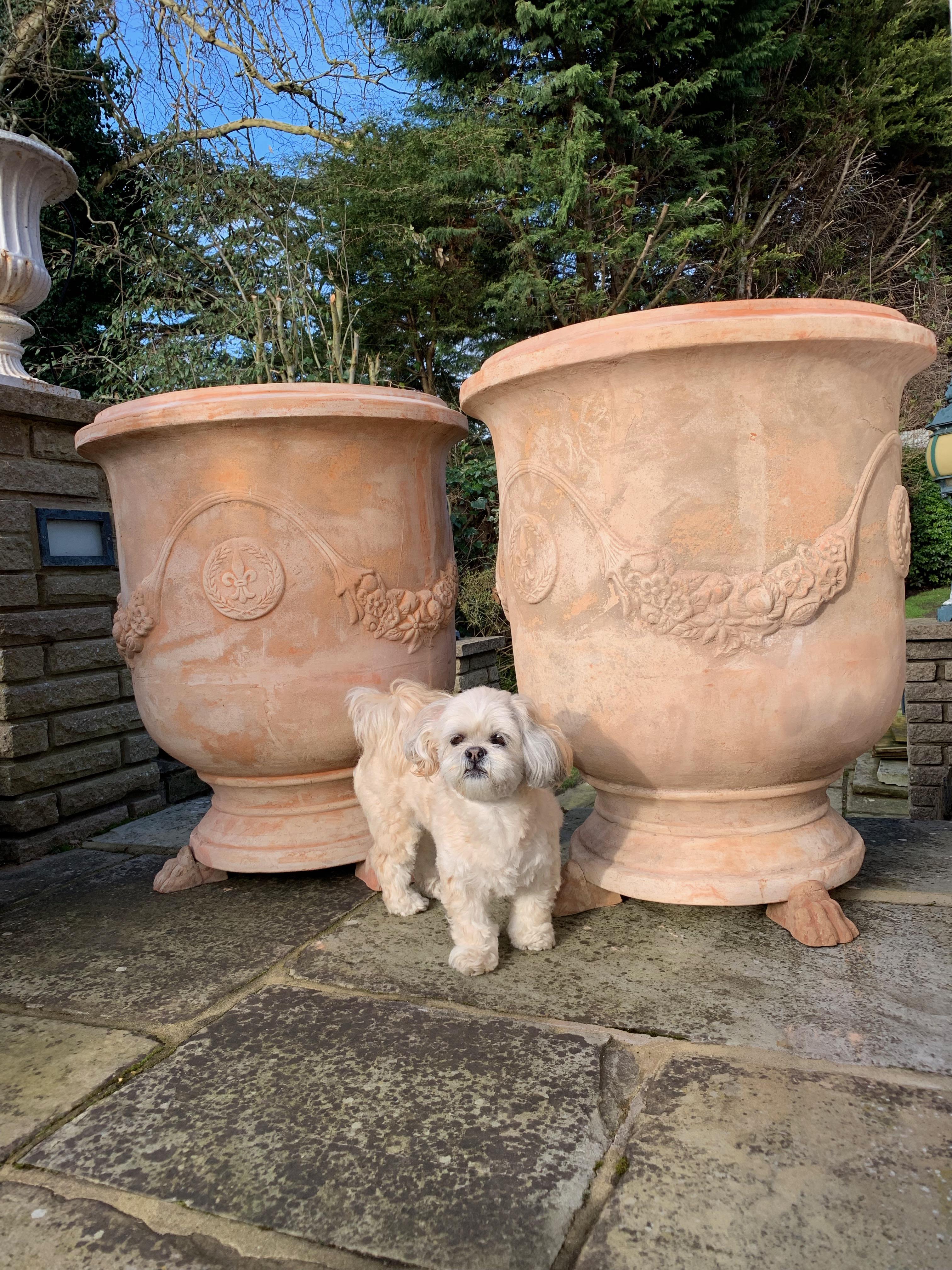 A pair of 20th century large handmade terracotta pots. The very best handmade terracotta pots from Tuscany. Vaso festonato. Superb pots. These are big and handmade.

The most famous kind of Tuscan terracotta is produced in Impruneta, an ancient