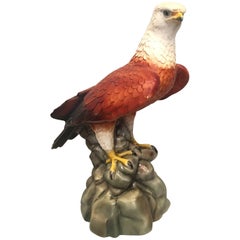 Águila grande de terracota esmaltada italiana del siglo XX