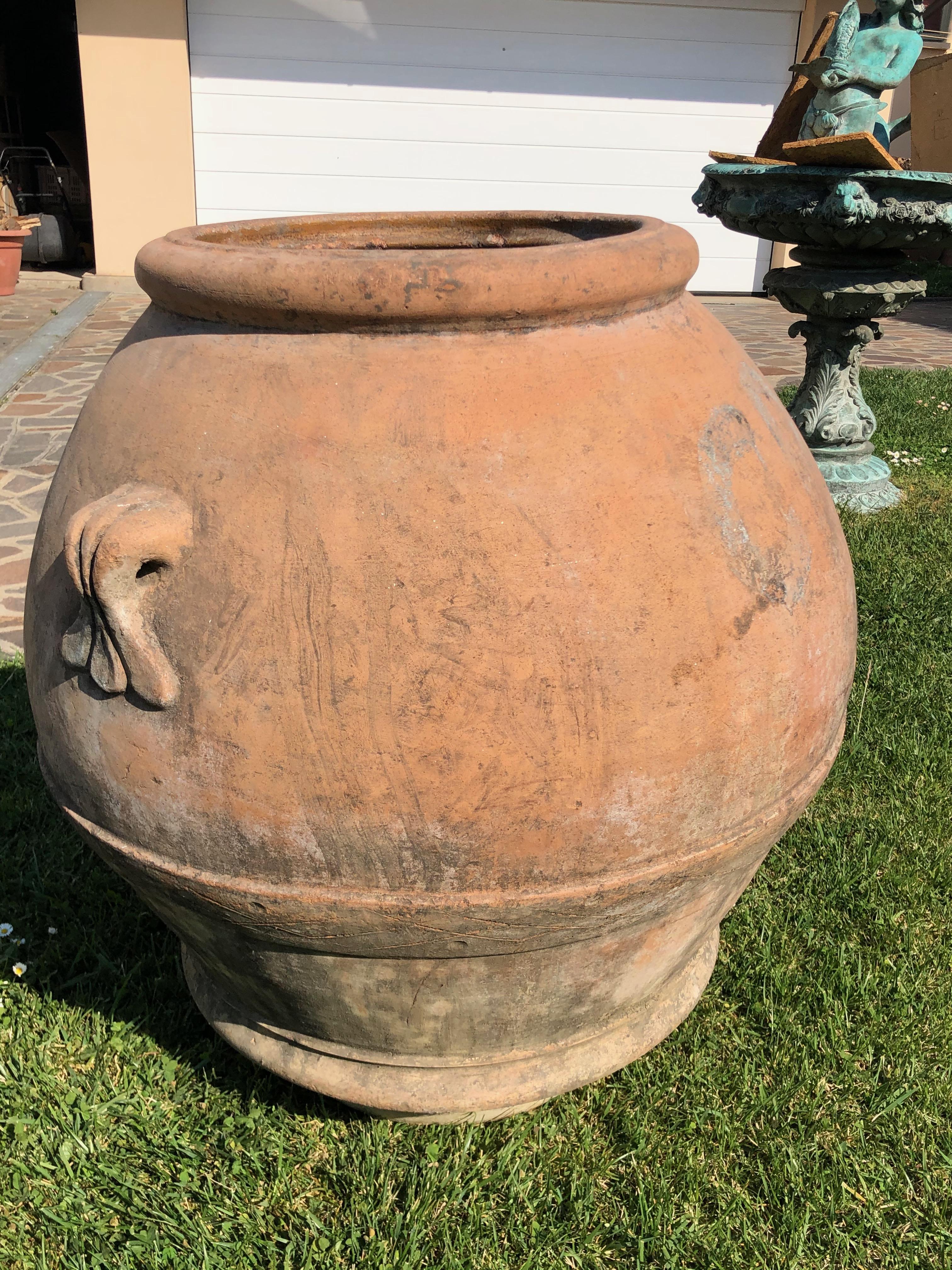 Hand-Crafted 20th Century Large Terracotta Jare from Impruneta
