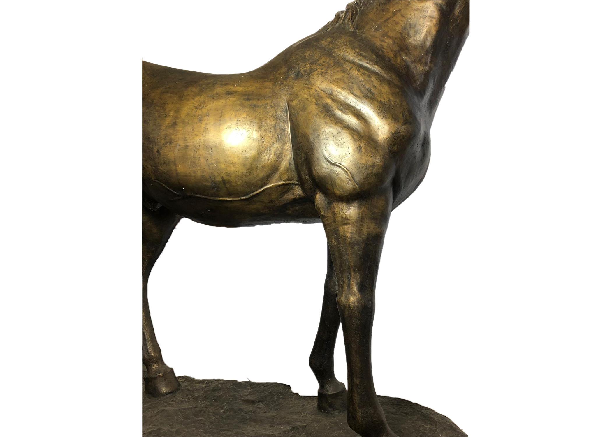 20th Century Life-Size Bronze Horse 5