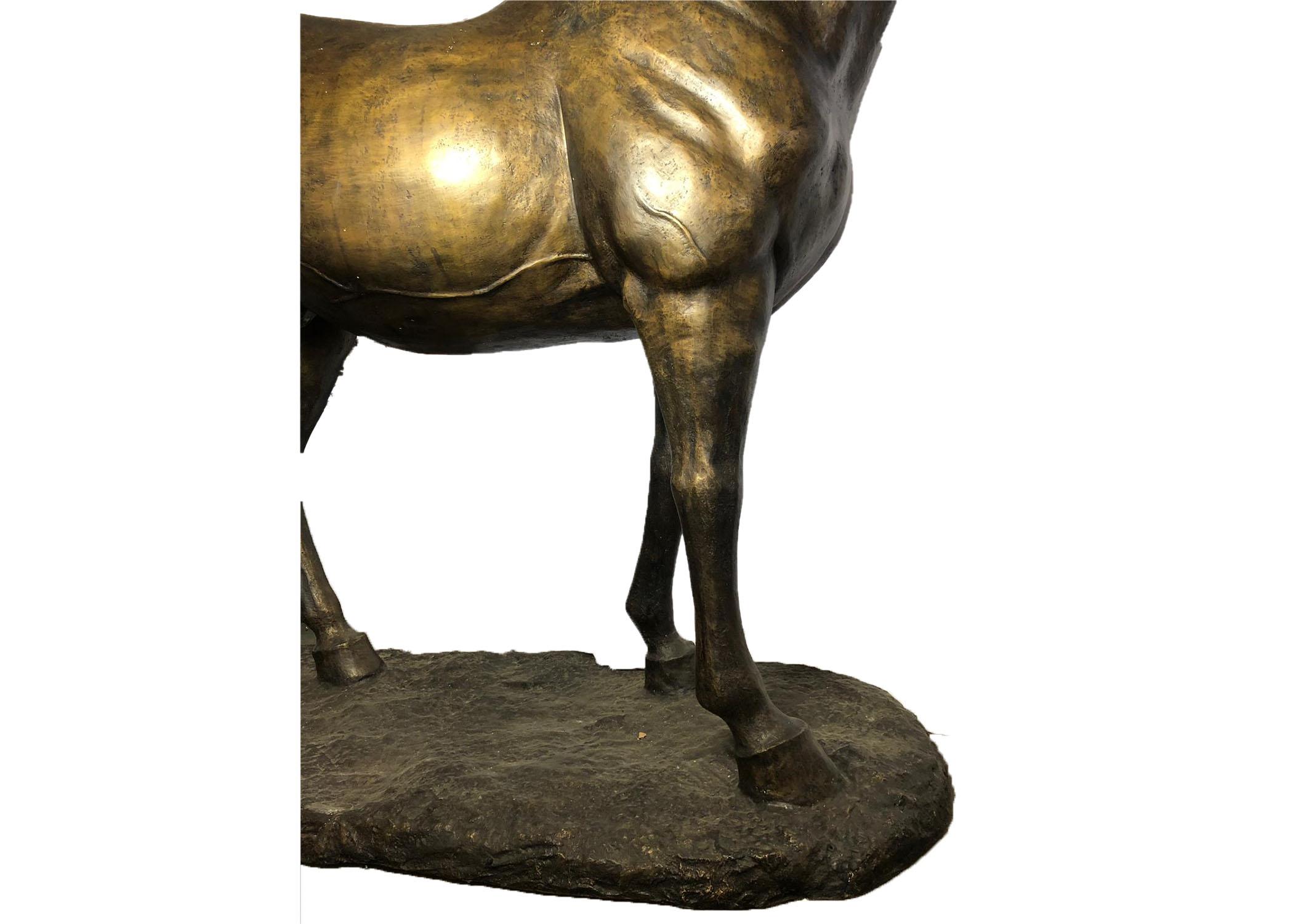 20th Century Life-Size Bronze Horse 6
