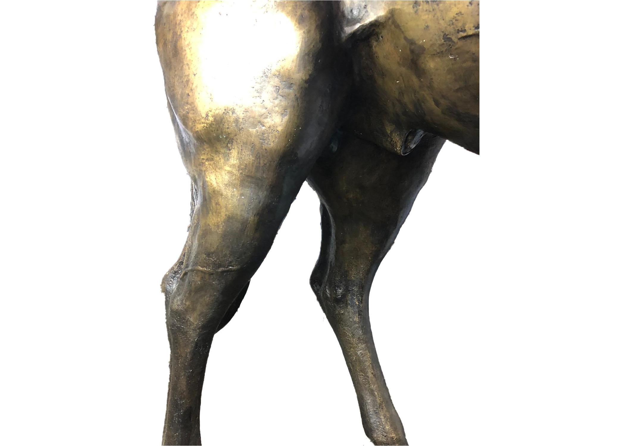 20th Century Life-Size Bronze Horse 11