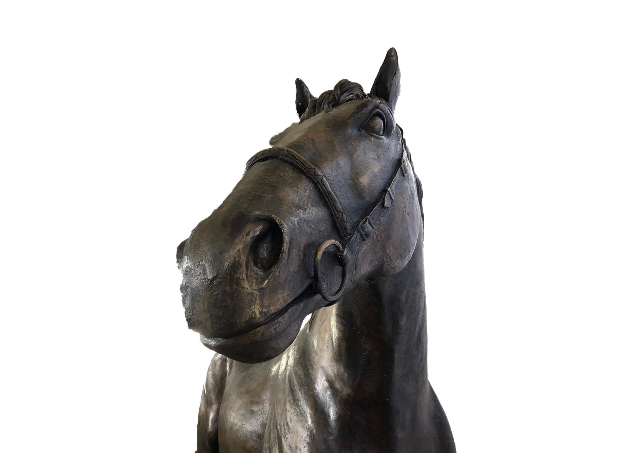 20th Century Life-Size Bronze Horse 14