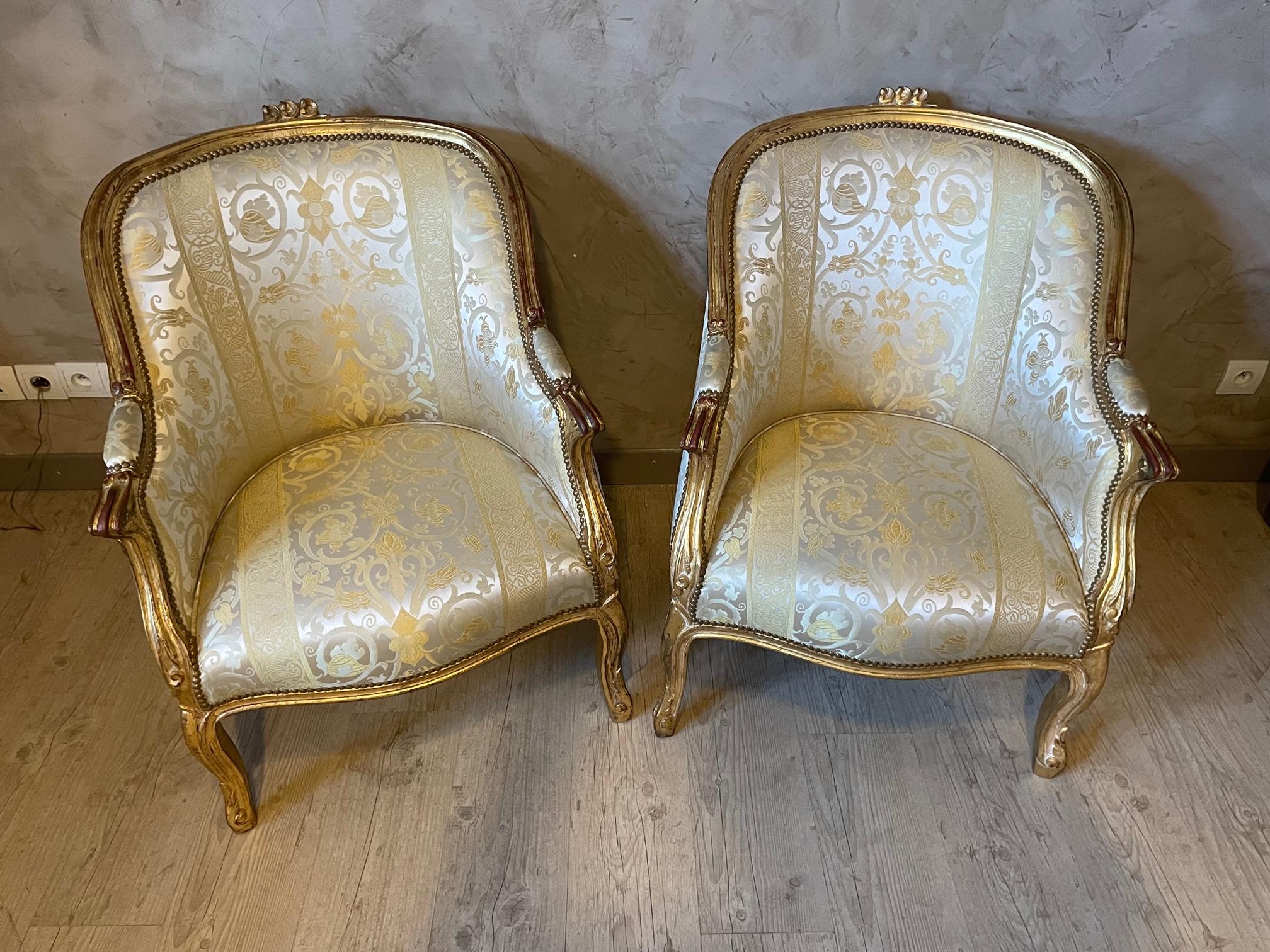 French 20th Century Louis XV Style Silk and Golden Wood Pair of Bergere Armchair, 1900s