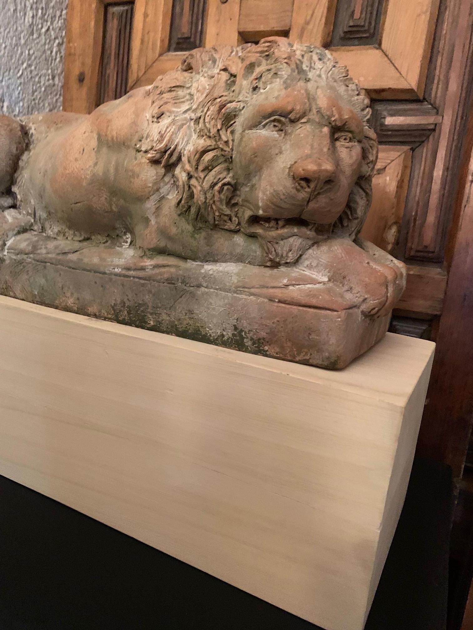Lyngl-Löwen-Skulptur aus Terrakotta aus dem 20. Jahrhundert im Angebot 9