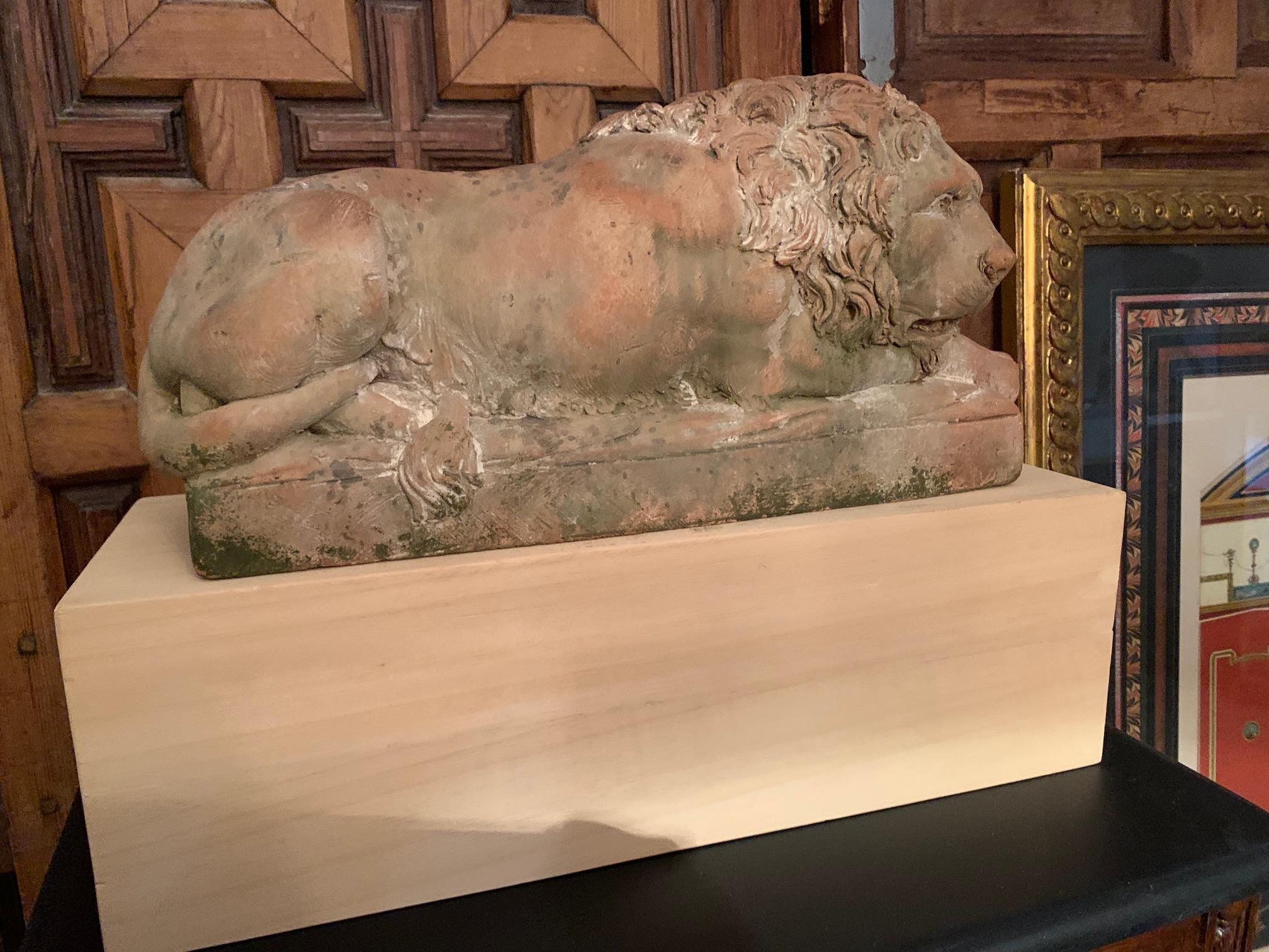 Lyngl-Löwen-Skulptur aus Terrakotta aus dem 20. Jahrhundert im Angebot 11