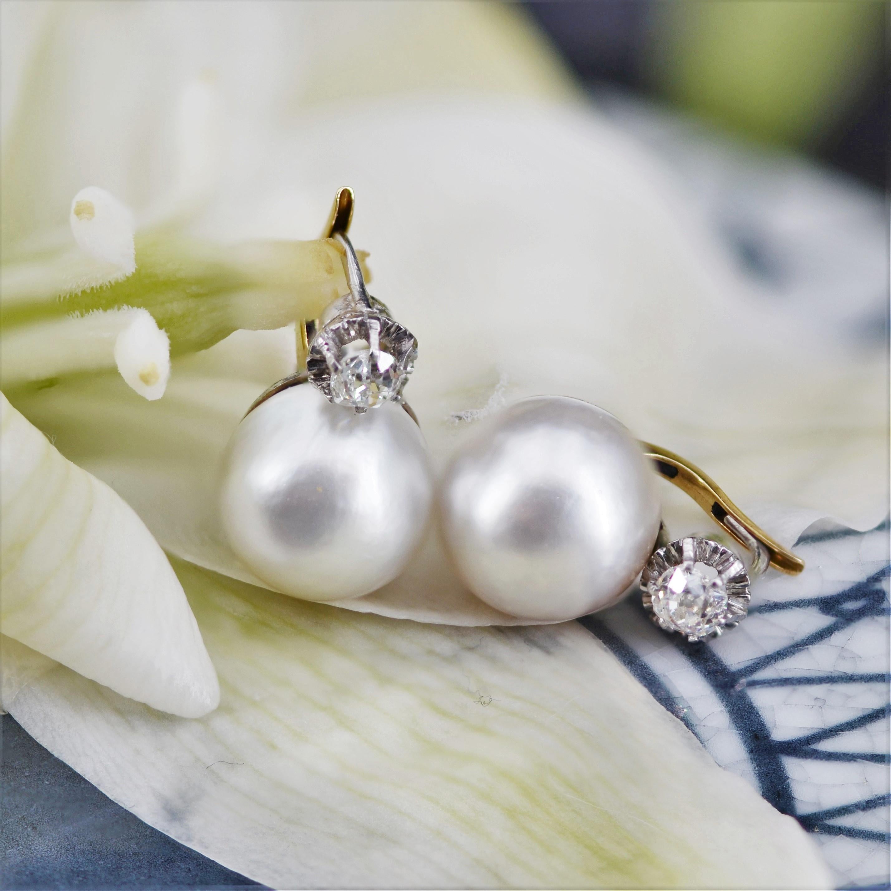 Belle Époque 20me sicle, Pendants d'oreilles en or jaune blanc 18 carats, perles Mab et diamants en vente