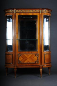 20th Century Magnificent French Louis XVI Style Display Cabinet