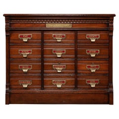 20th Century Mahogany Shannon Filing Cabinet with Twelve Drawers, 1920s