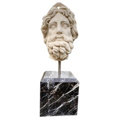 20th Century Marble Bust, Sculpture of the Roman God of The Water Neptune