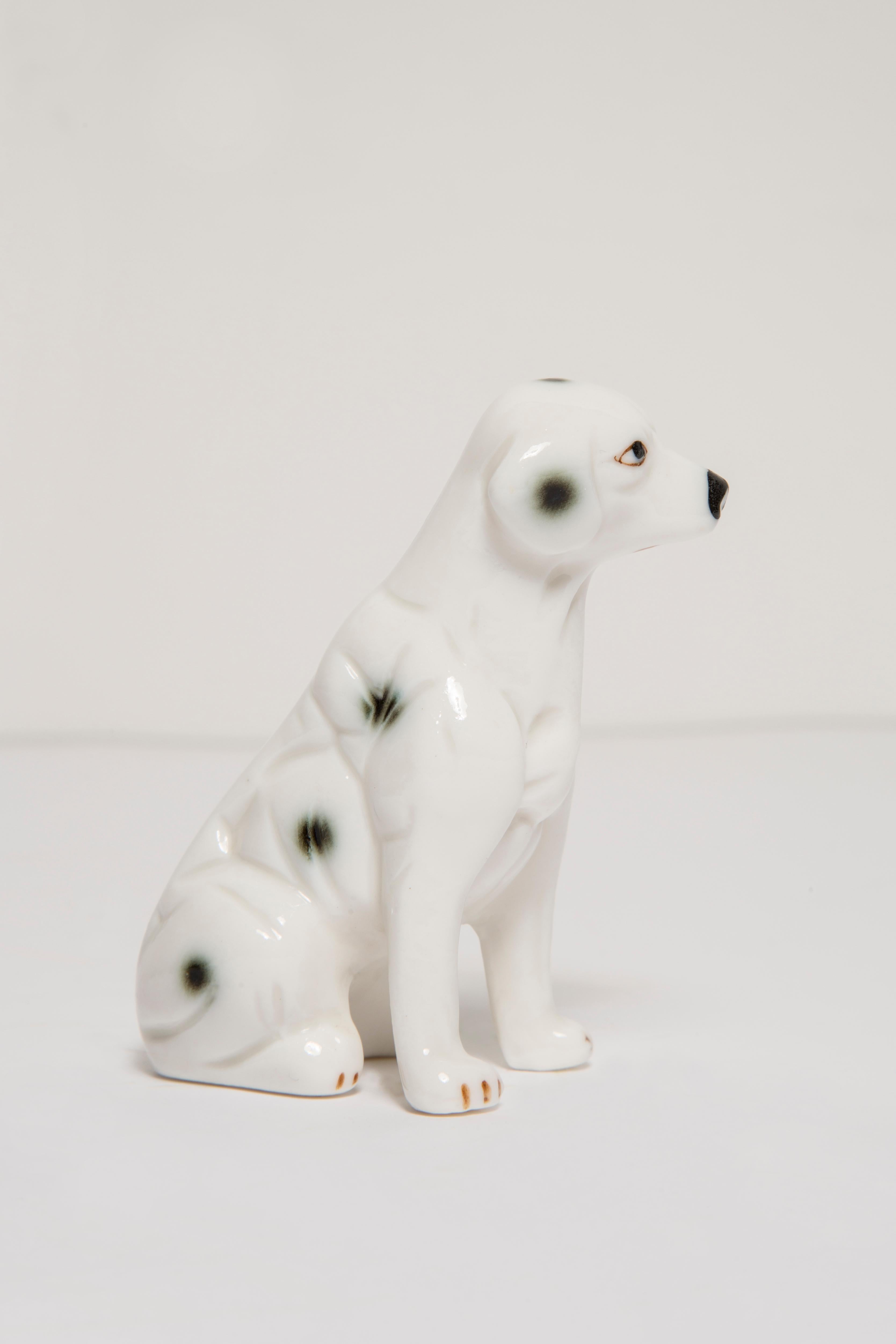 20th Century Mini White Dalmatian Dog Sculpture, Italy, 1960s For Sale 2