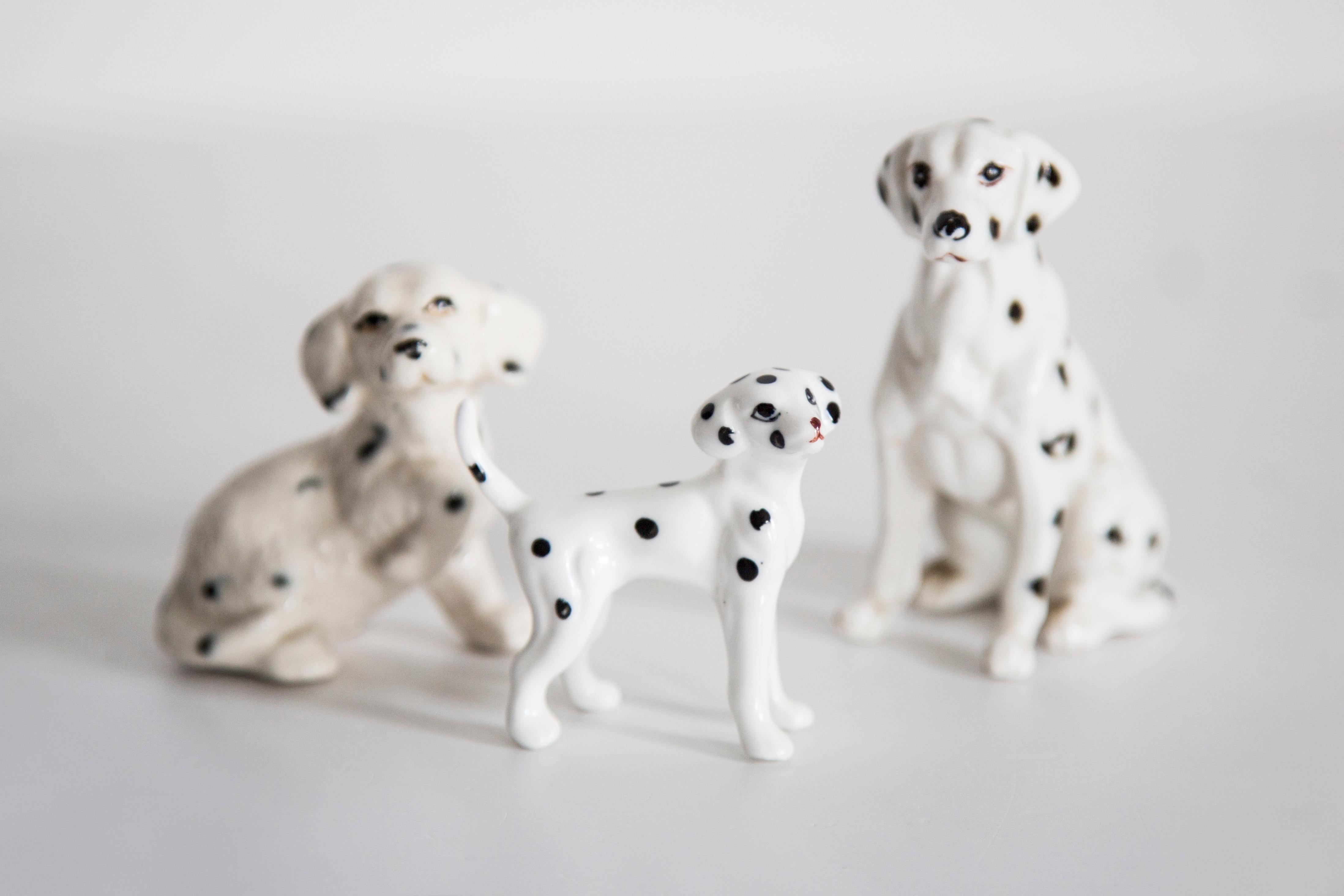 Ceramica dipinta, ottime condizioni originali vintage. Nessun danno o crepa. Una scultura decorativa bella e unica. La scultura di cane barboncino bianco Mini è stata prodotta in Italia. È disponibile un solo cane.