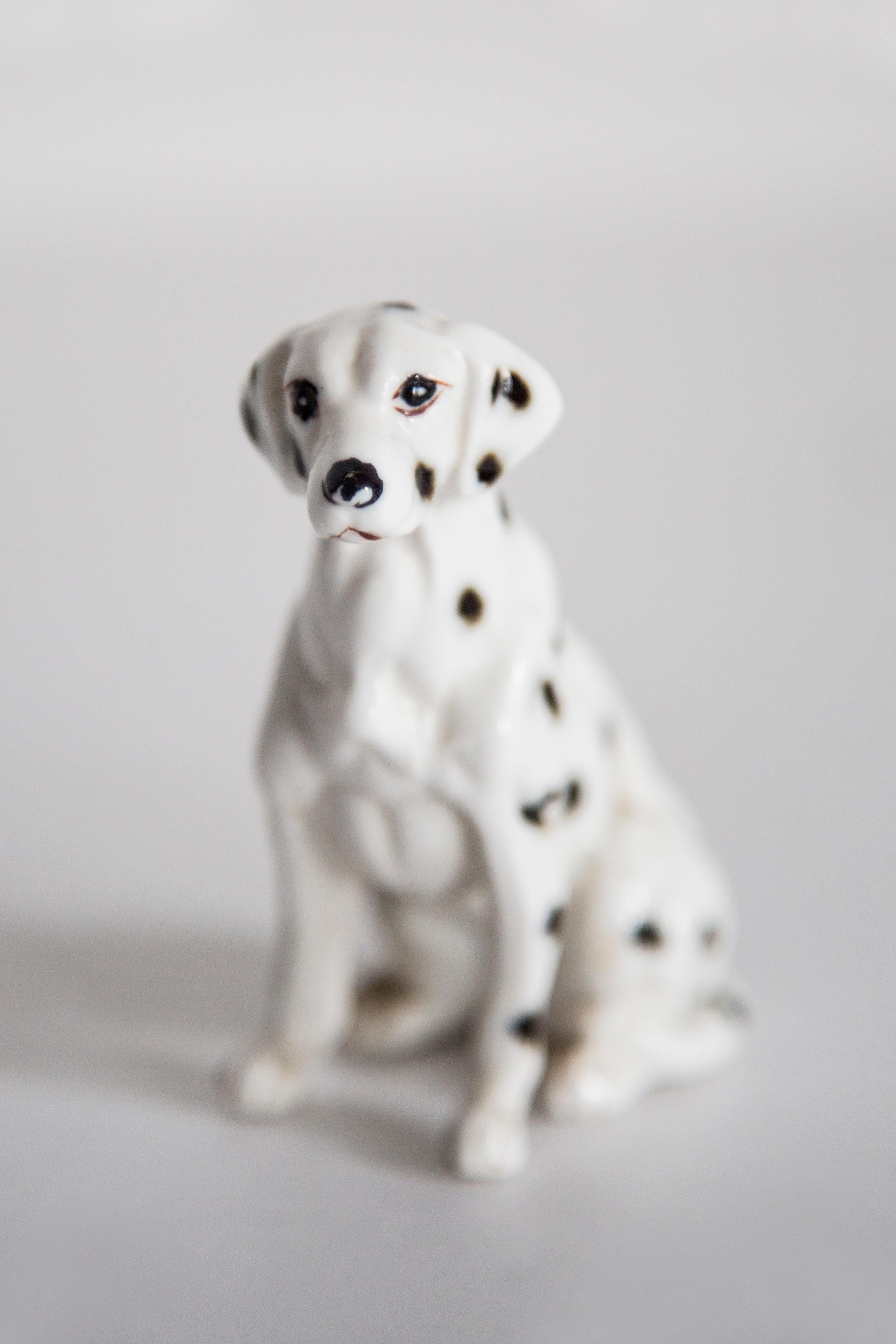 Ceramica Mini scultura di cane dalmata bianco del XX secolo, Italia, anni '60