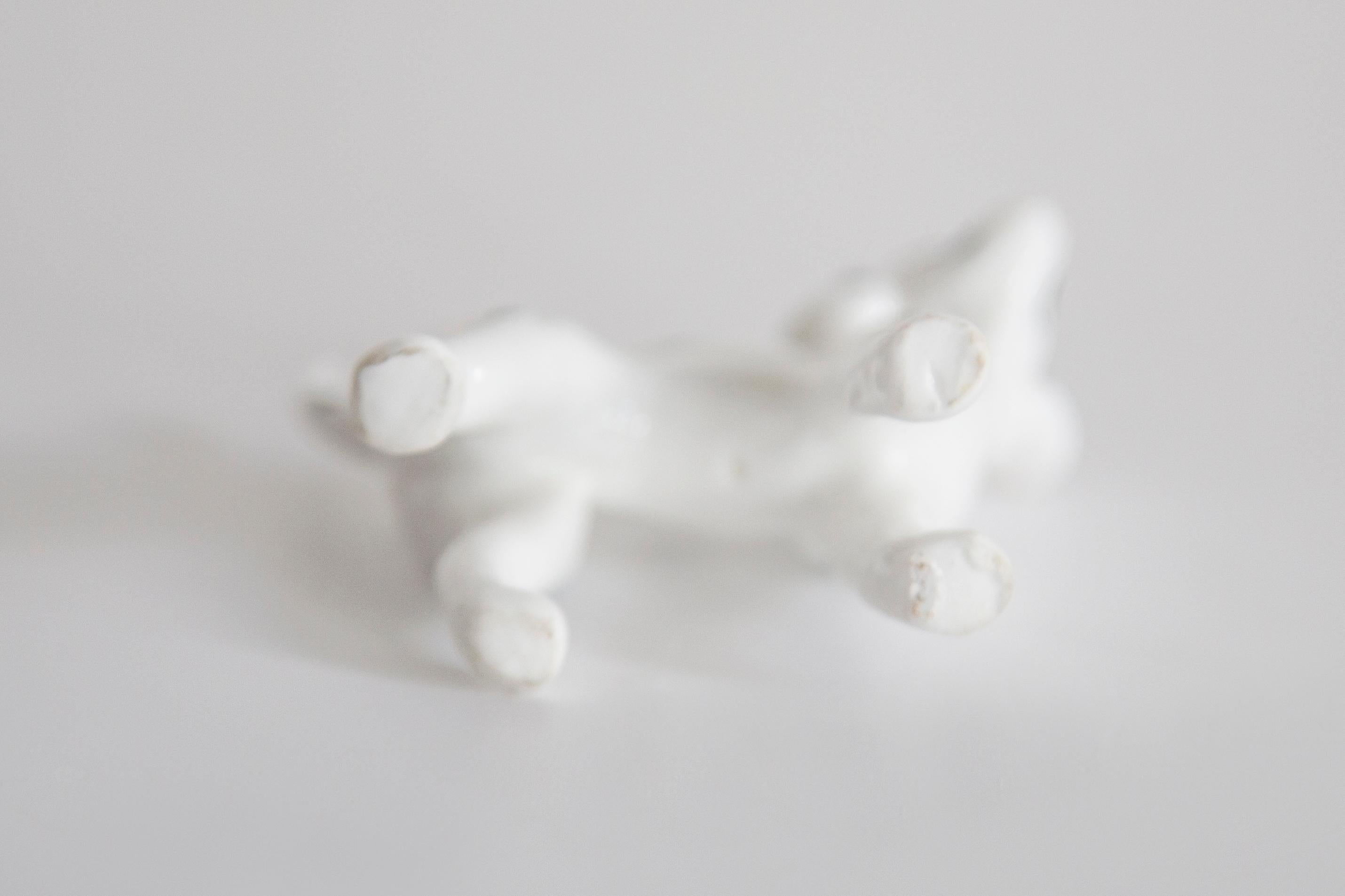 20th Century Mini White Dalmatian Dog Sculpture, Italy, 1960s For Sale 1